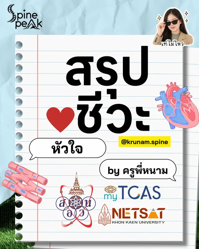 @ครูหนาม spine peak ชีวะ