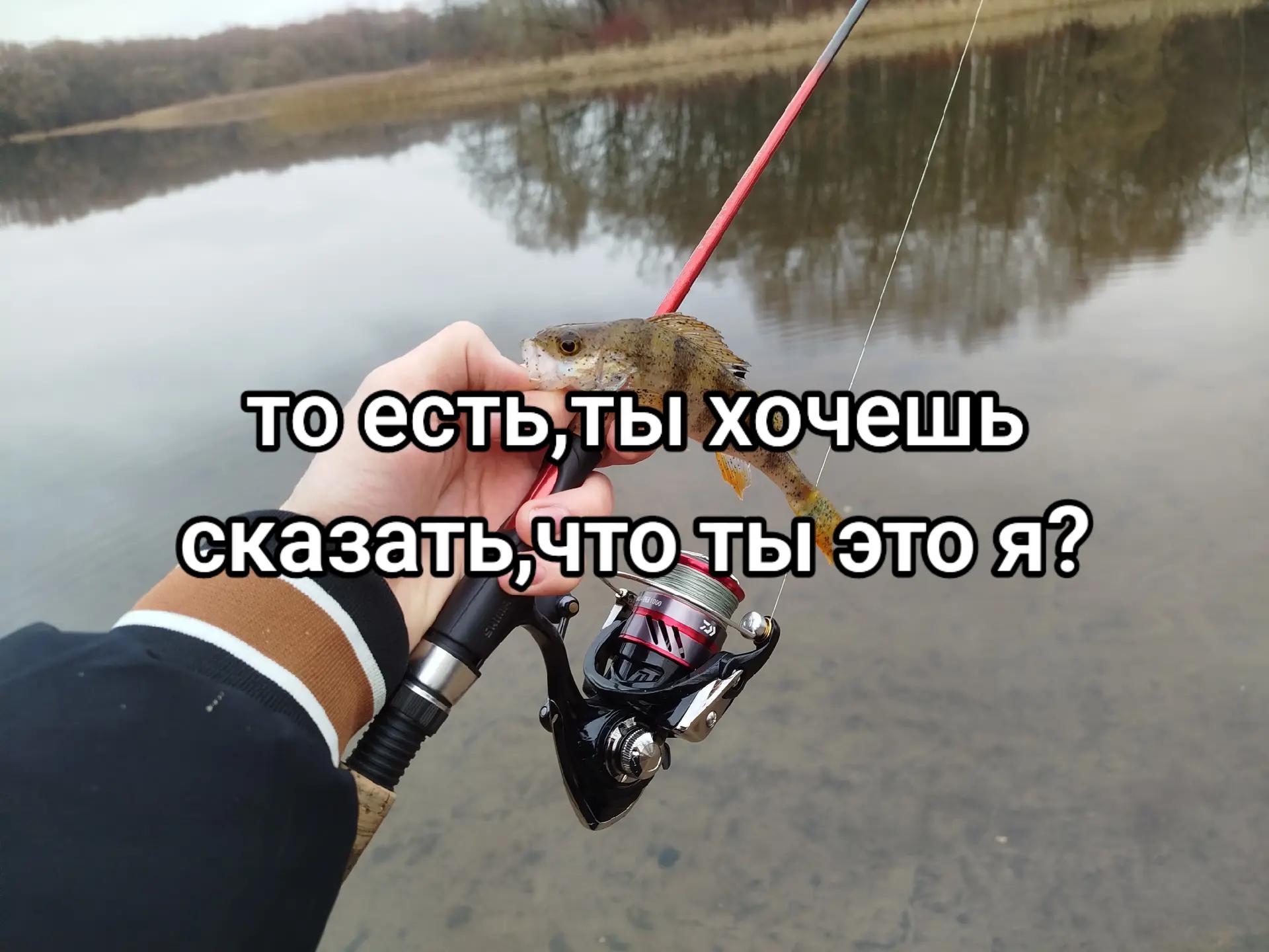 @Oladushek