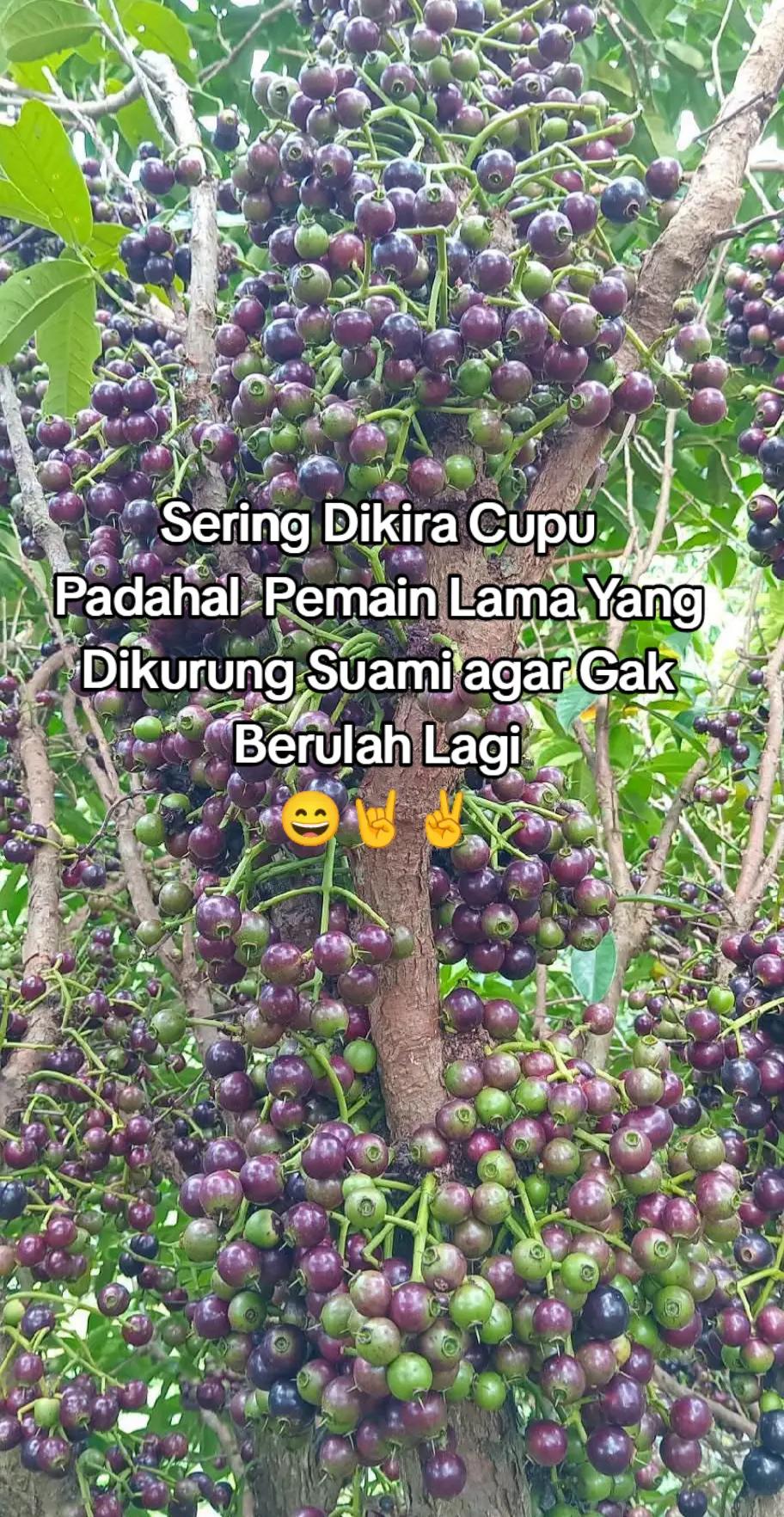 @Urang Sunda