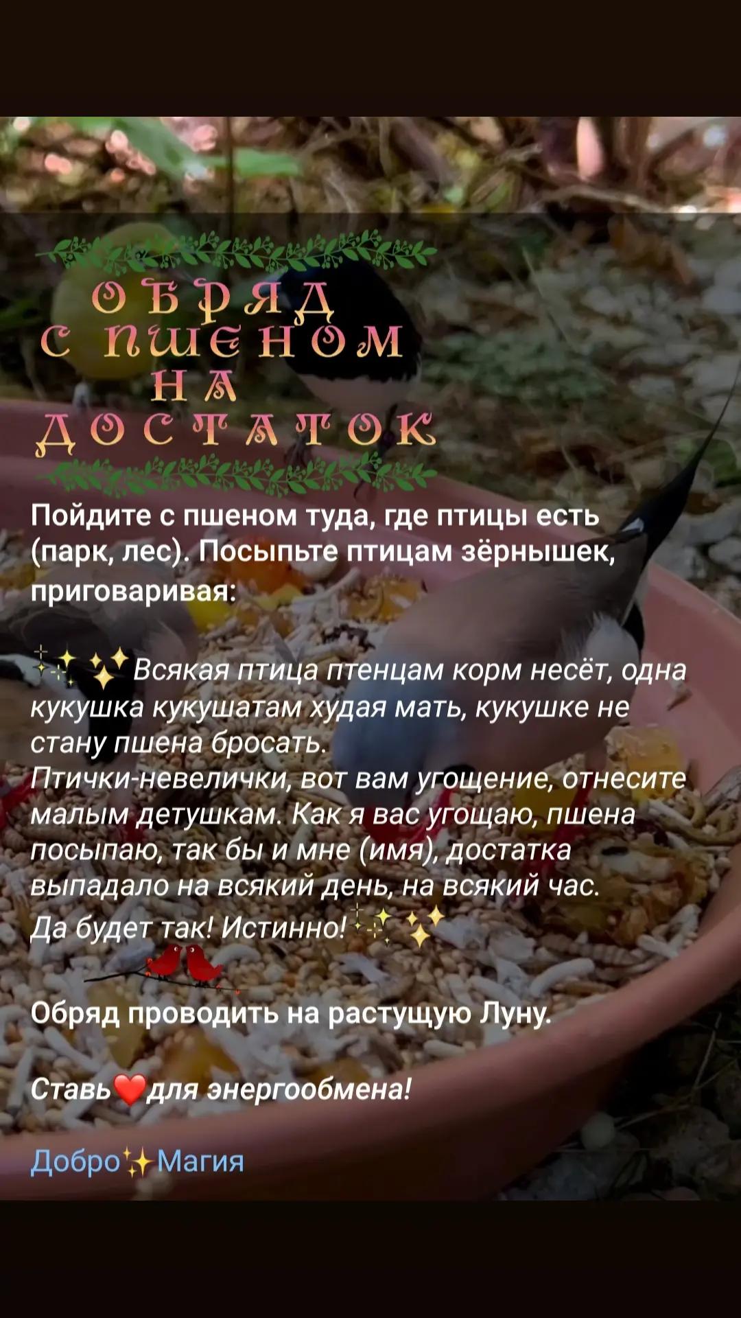 @Добро✨Магия