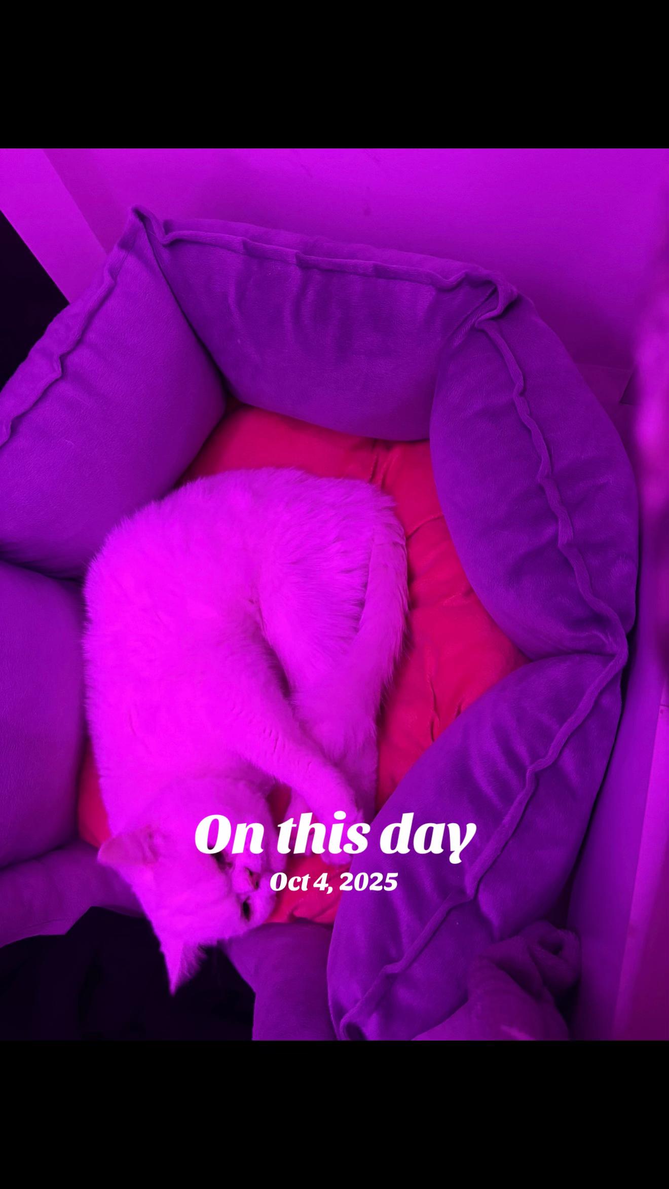 @melikaw80