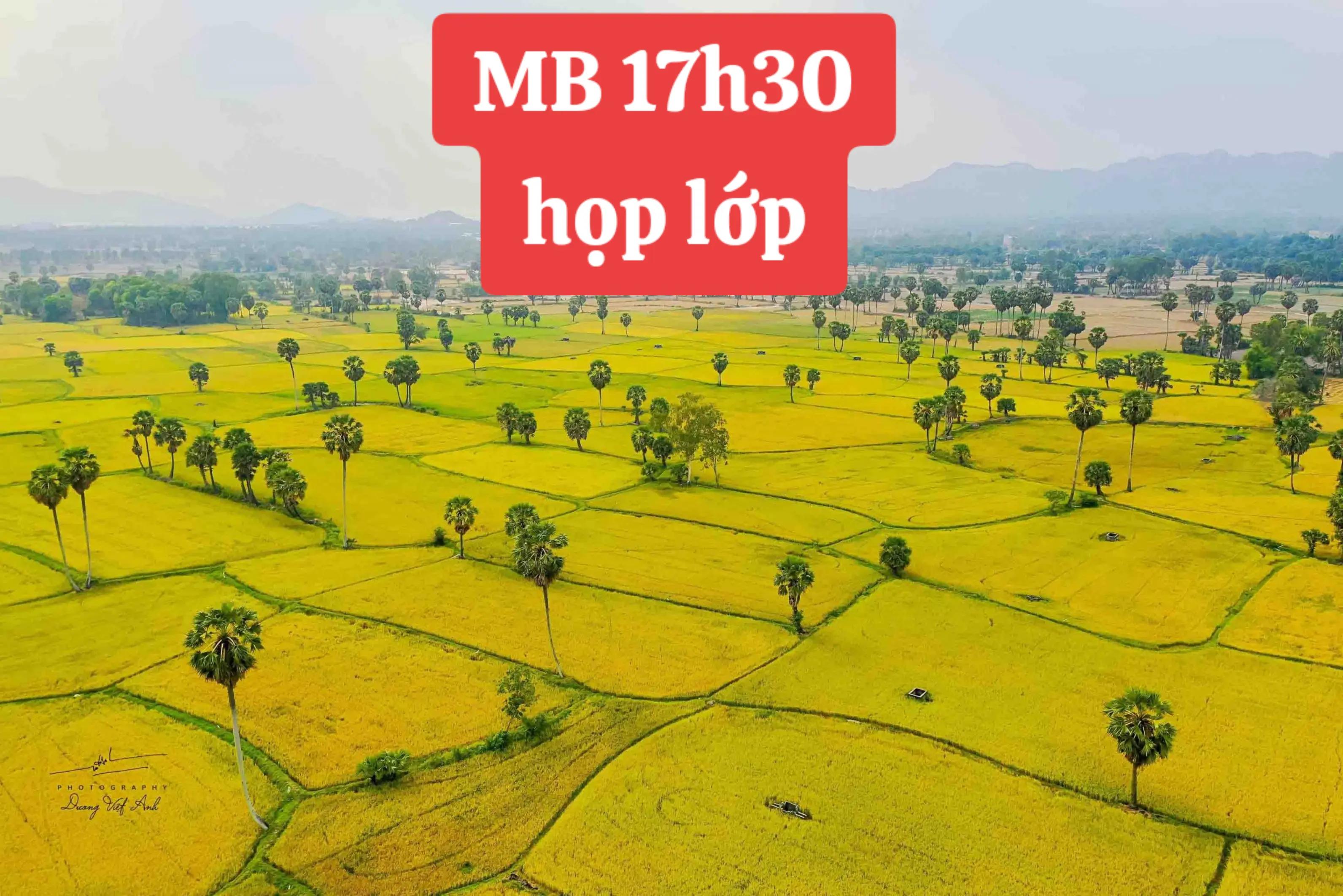 @Lê Miền Bắc