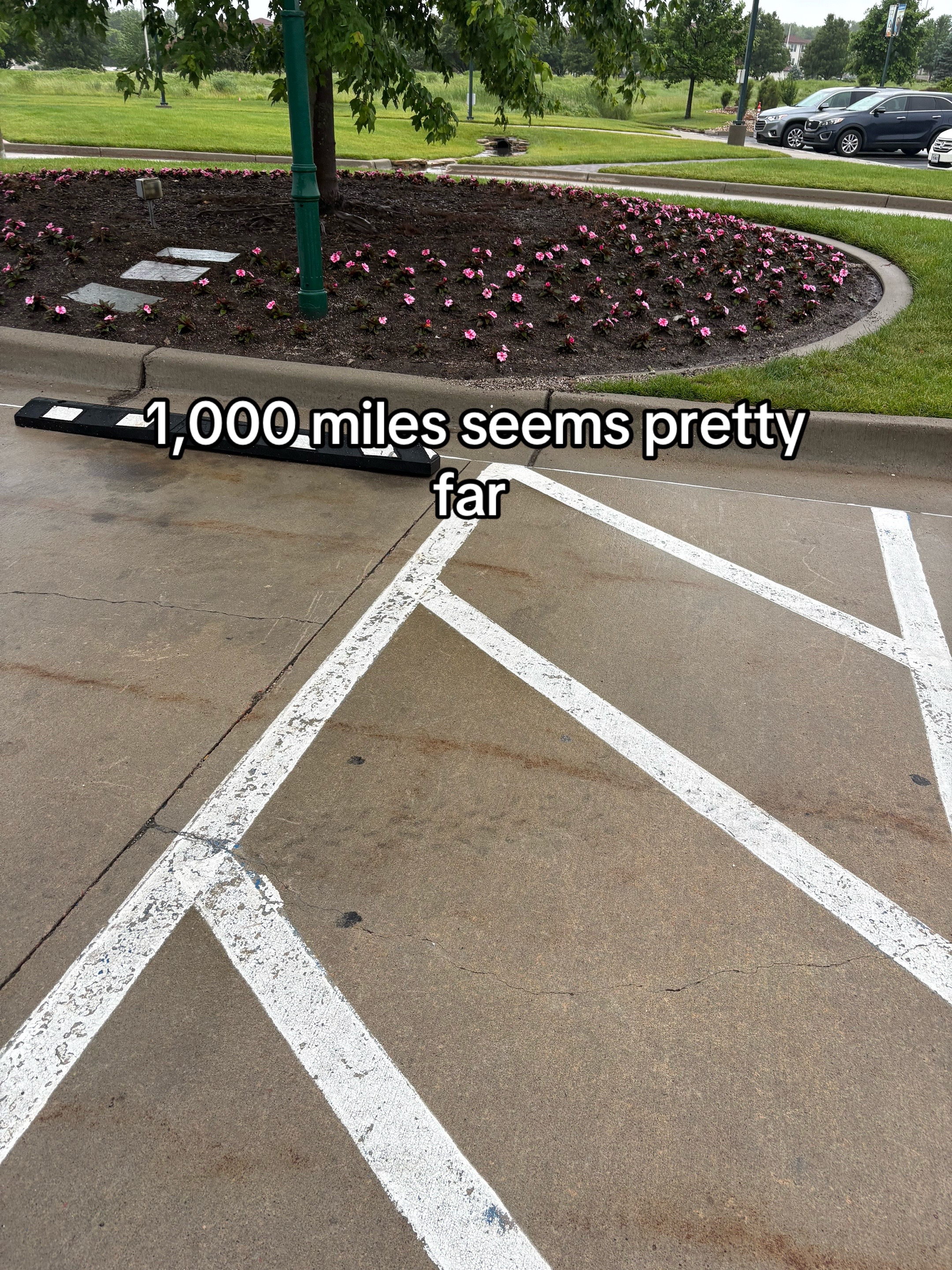 @👁️🗨️