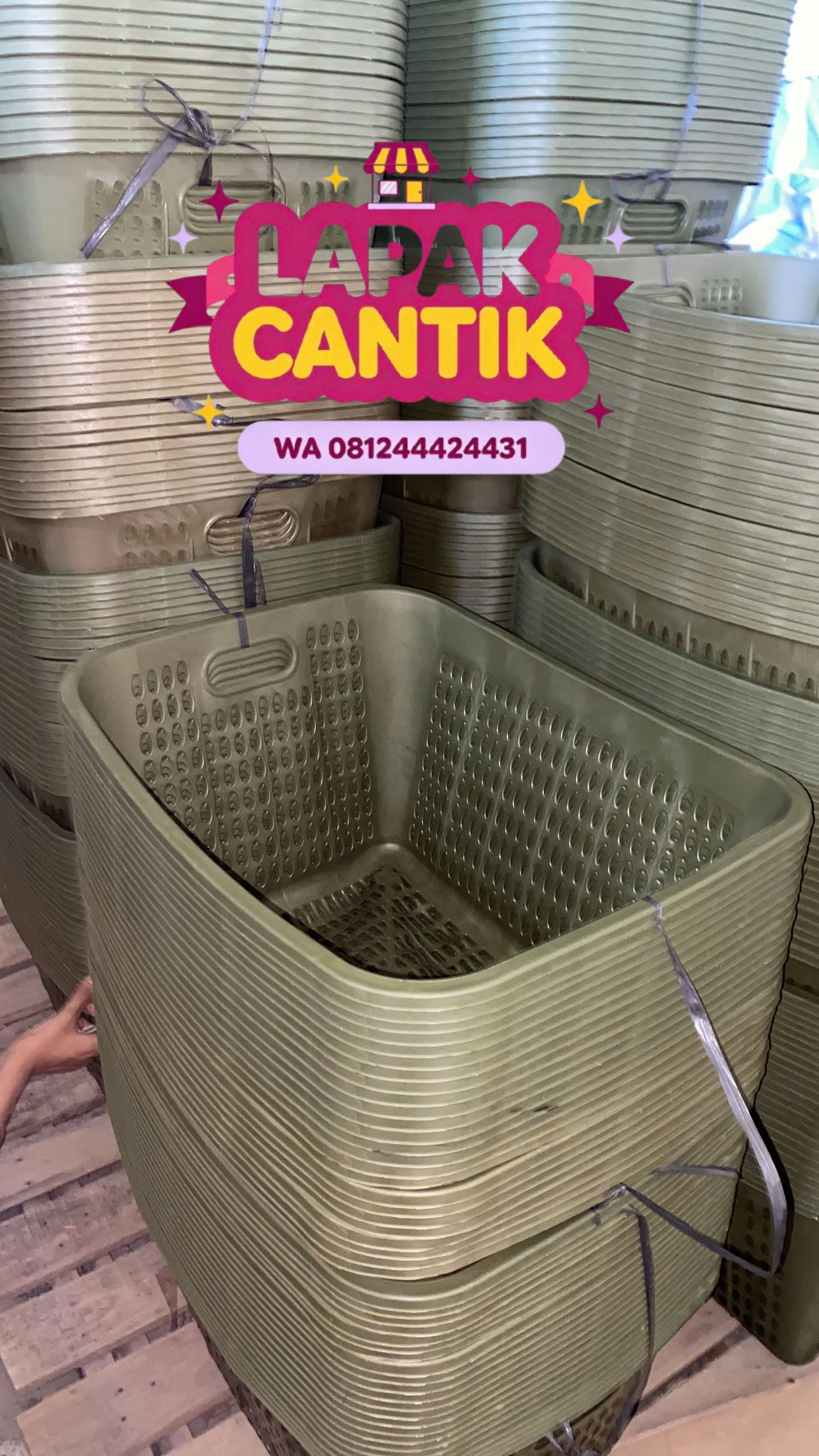 @LAPAKCANTIK AGROBIK