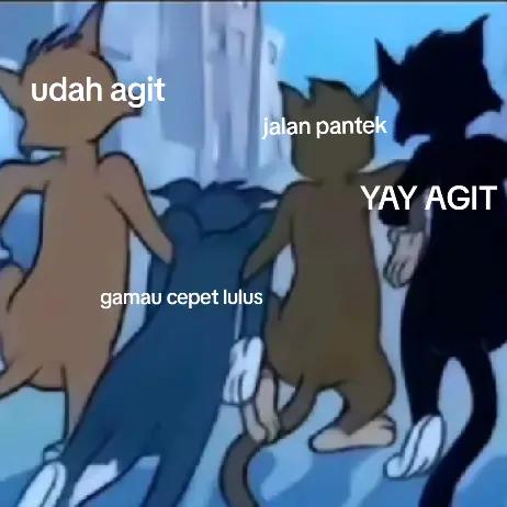 @AREL