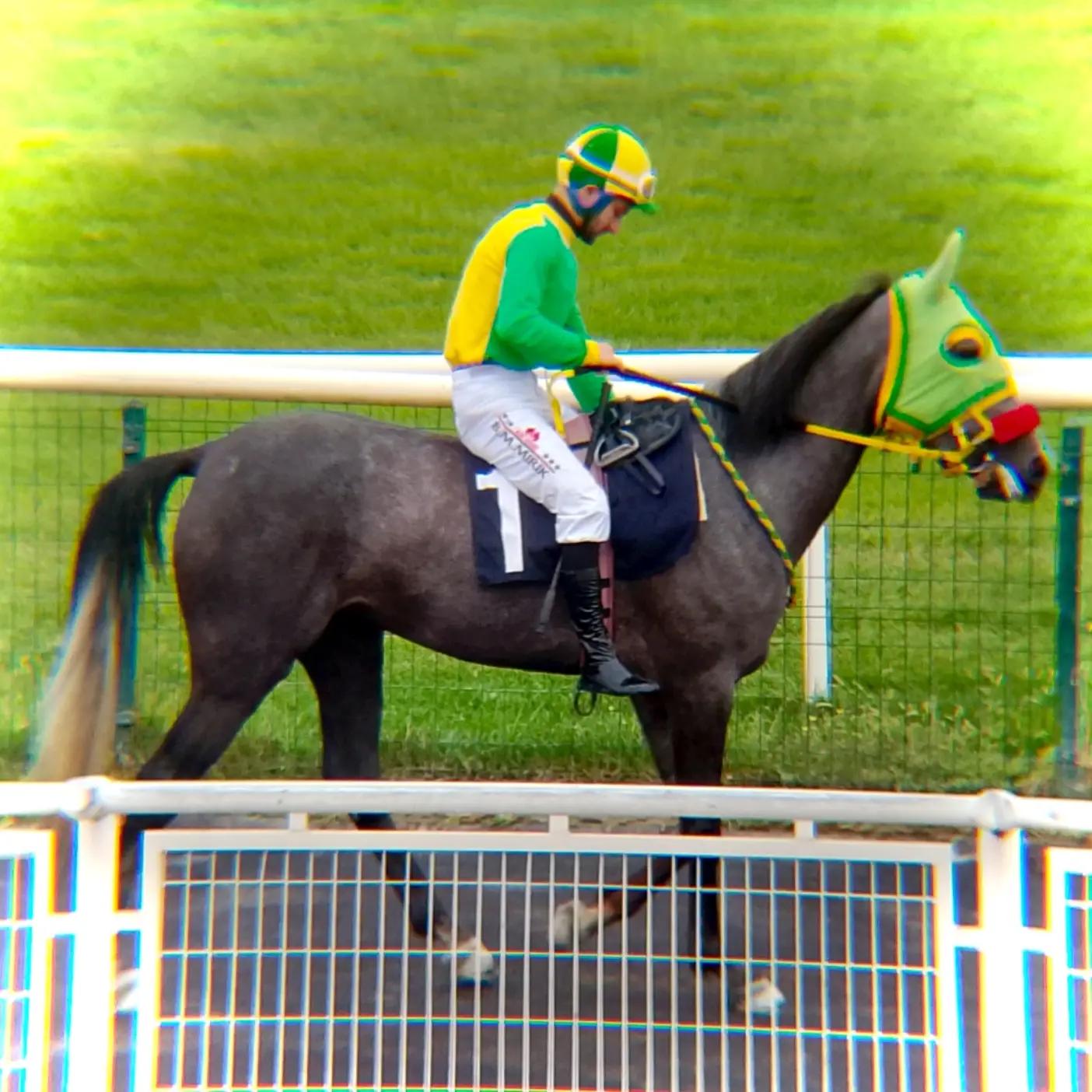 @brs horse racing