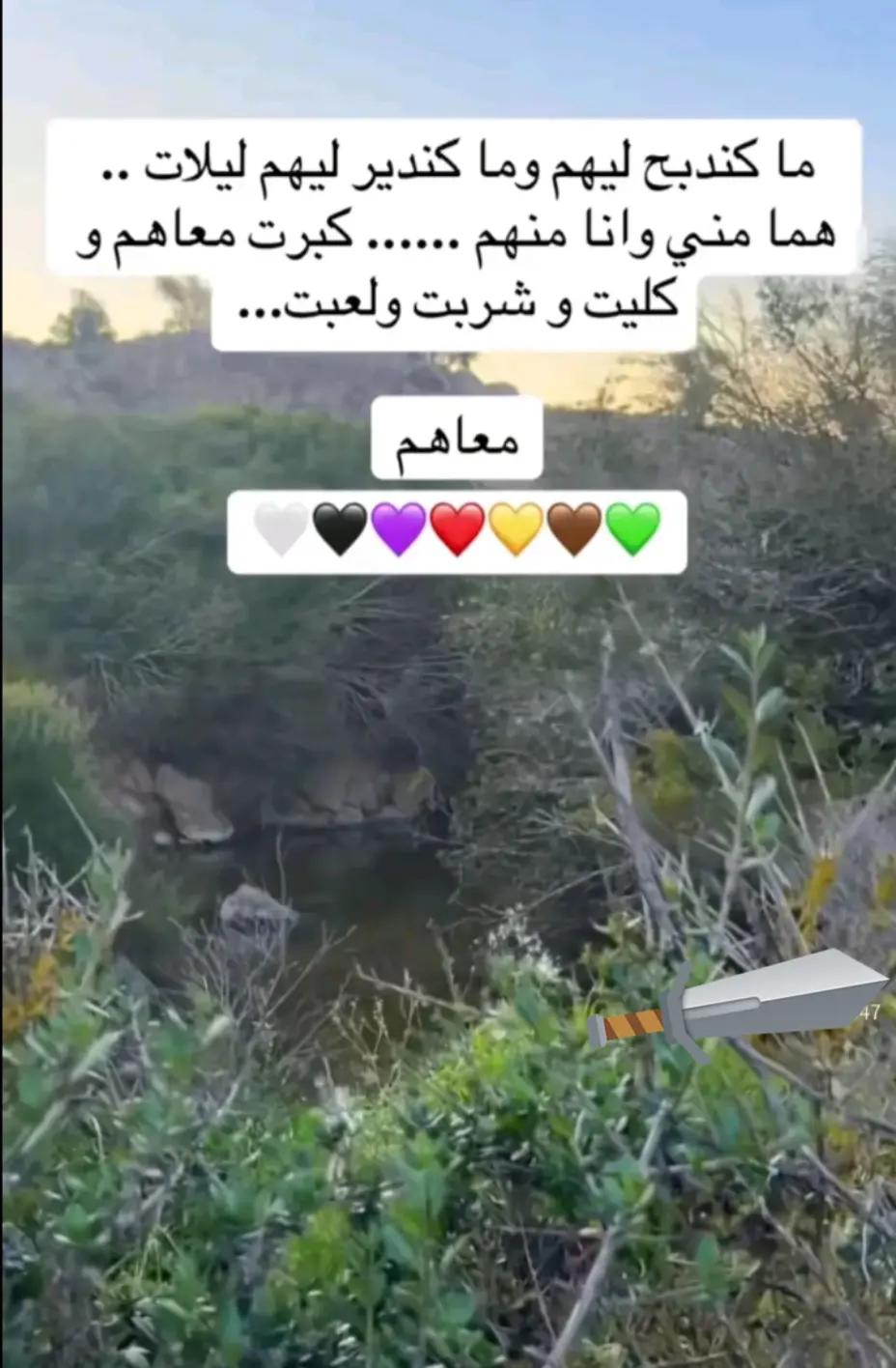 @سامية الغالية
