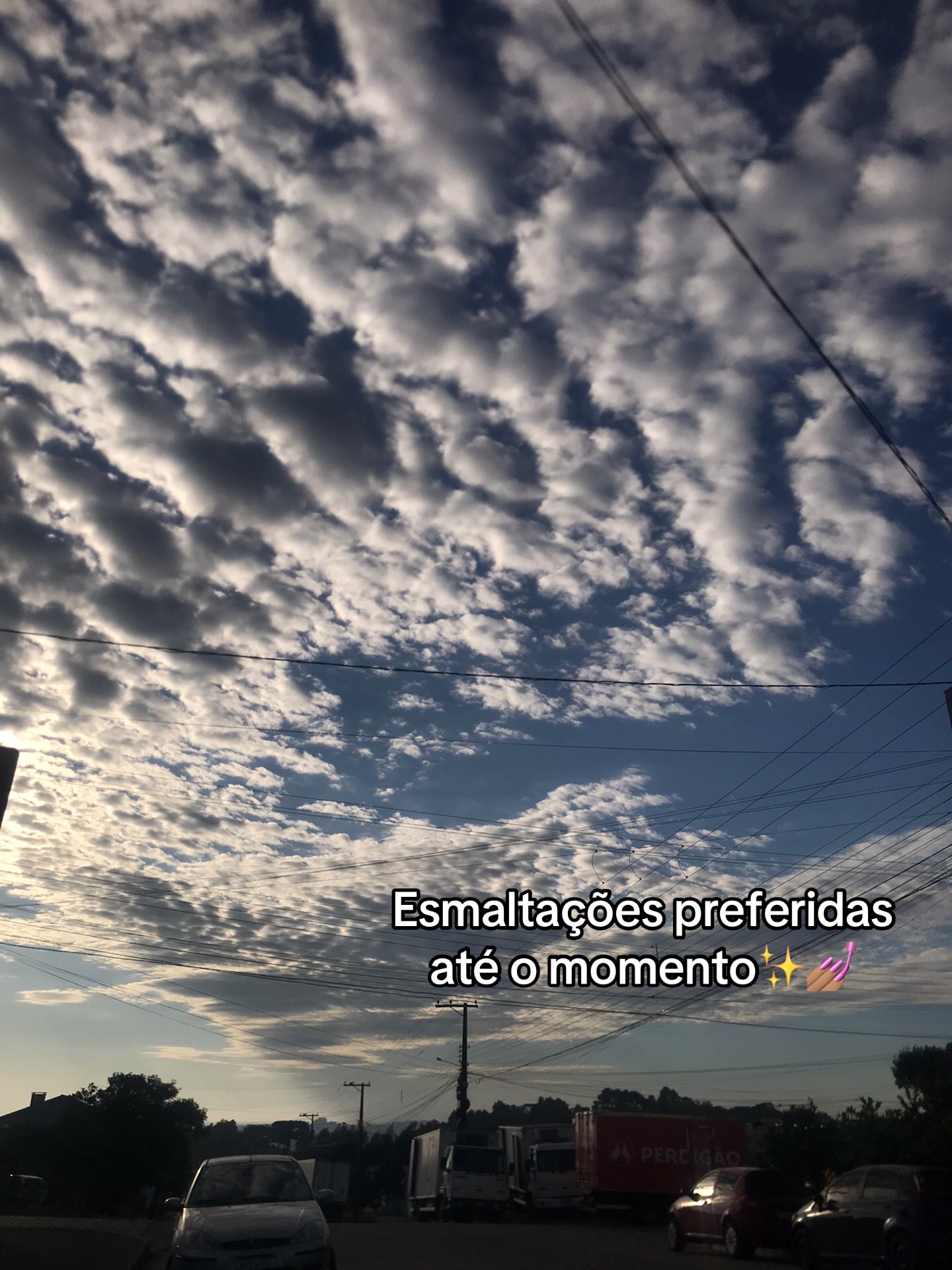 @prinailsgoulart