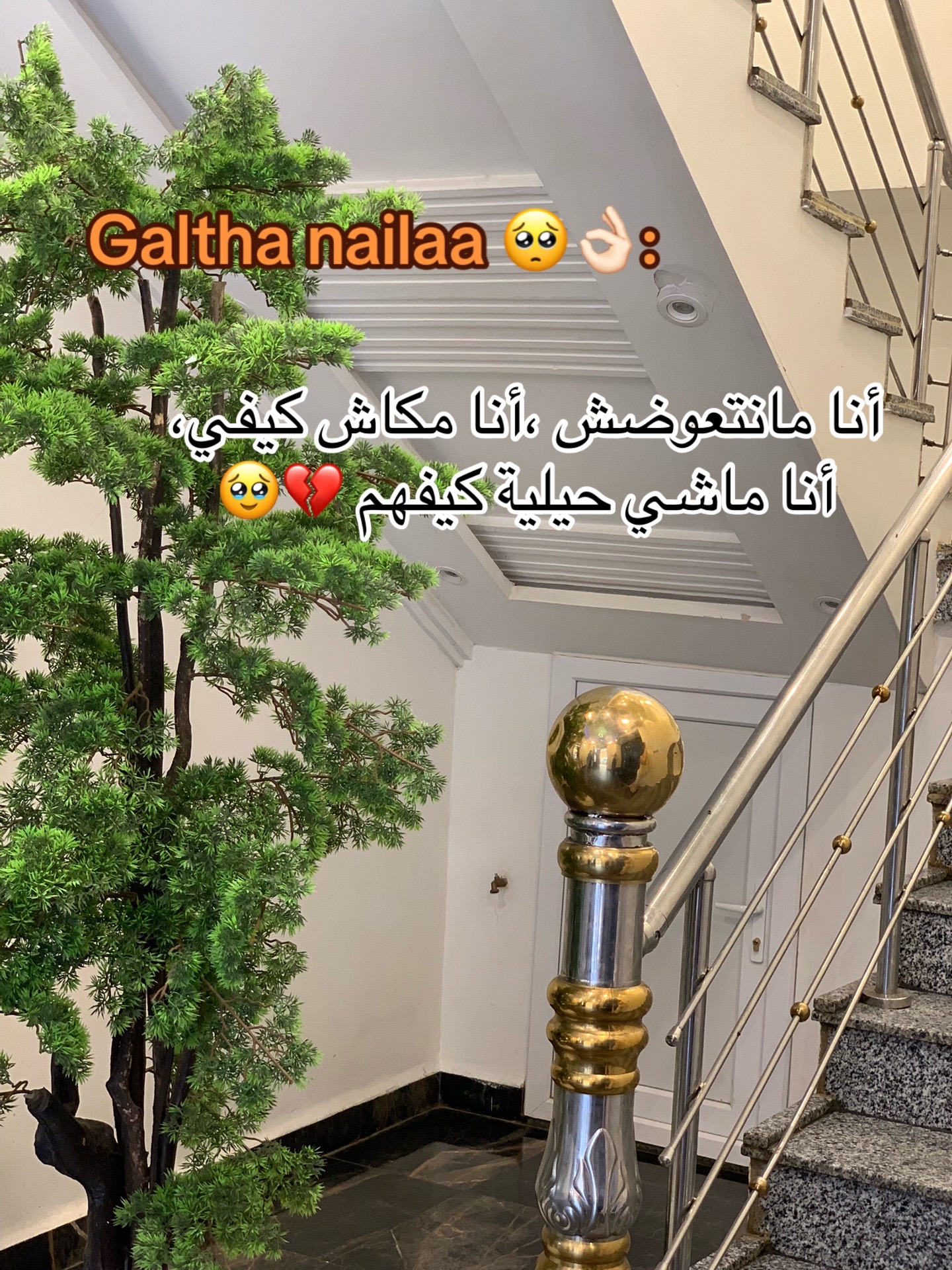 @Loulaa🐆