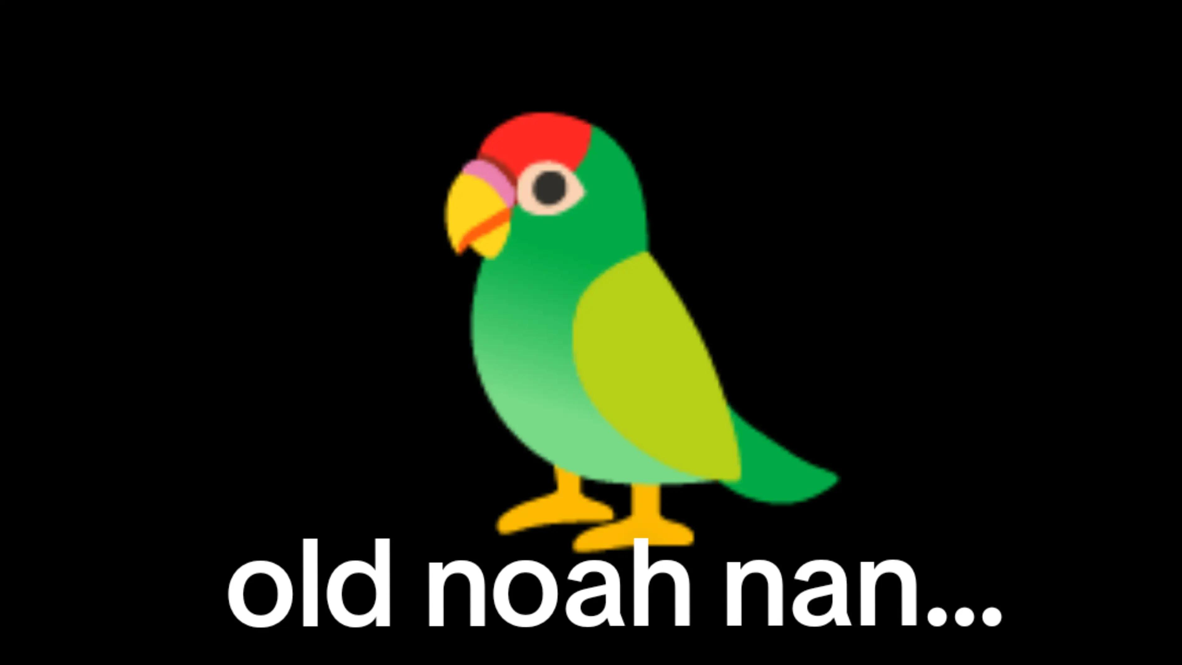 @🦜Noah nan🦜