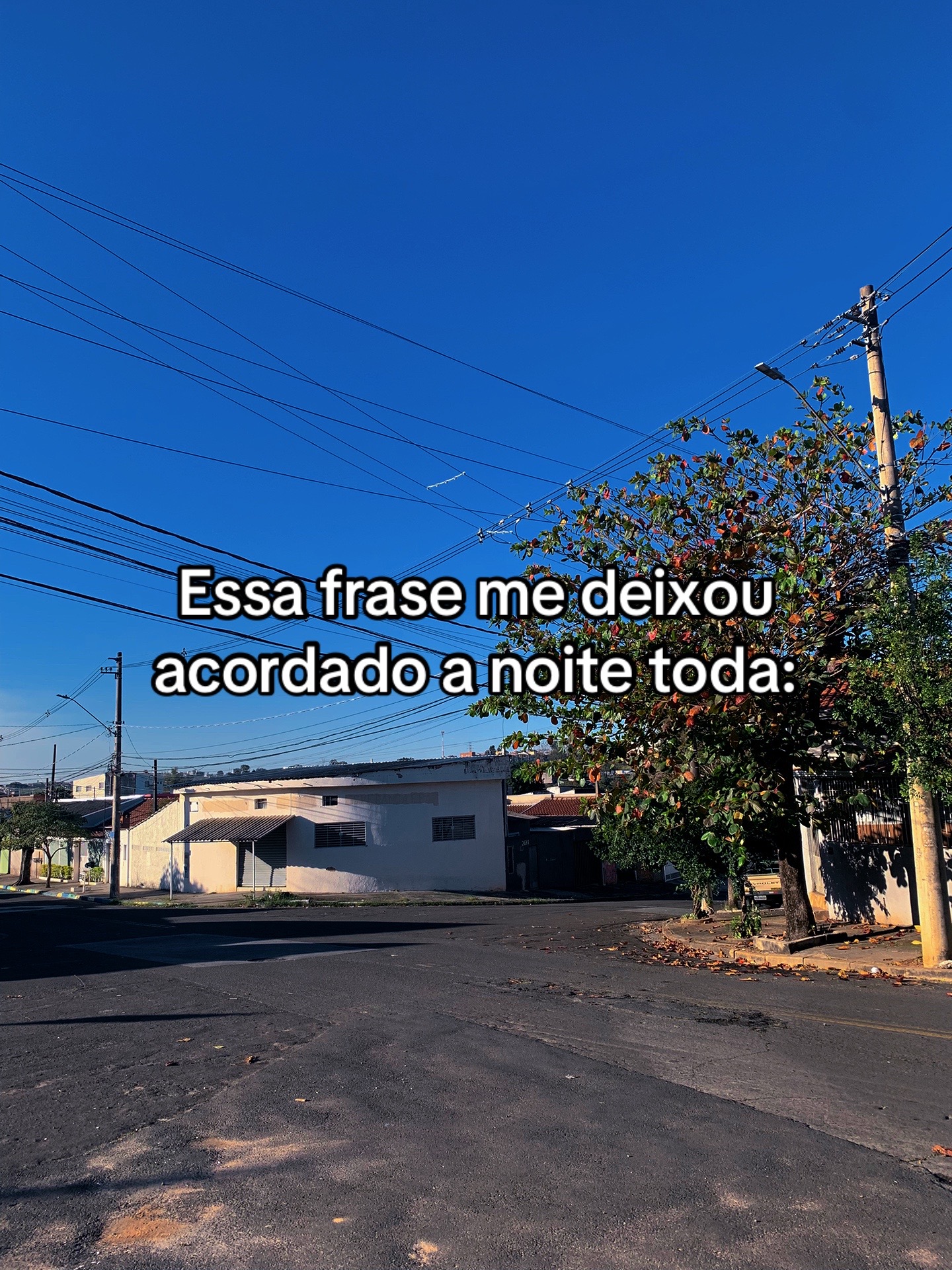 @biel.vision