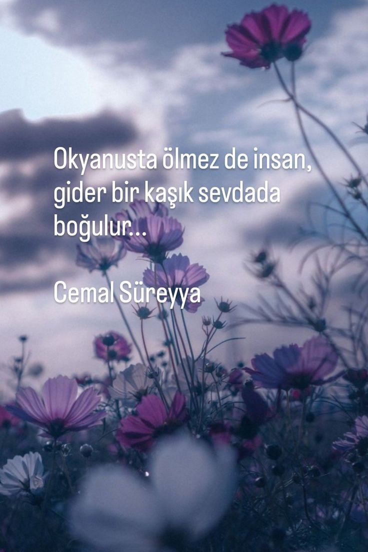 @Songül
