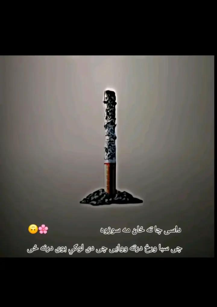 @🍂عادل کھنڈی وال🥷