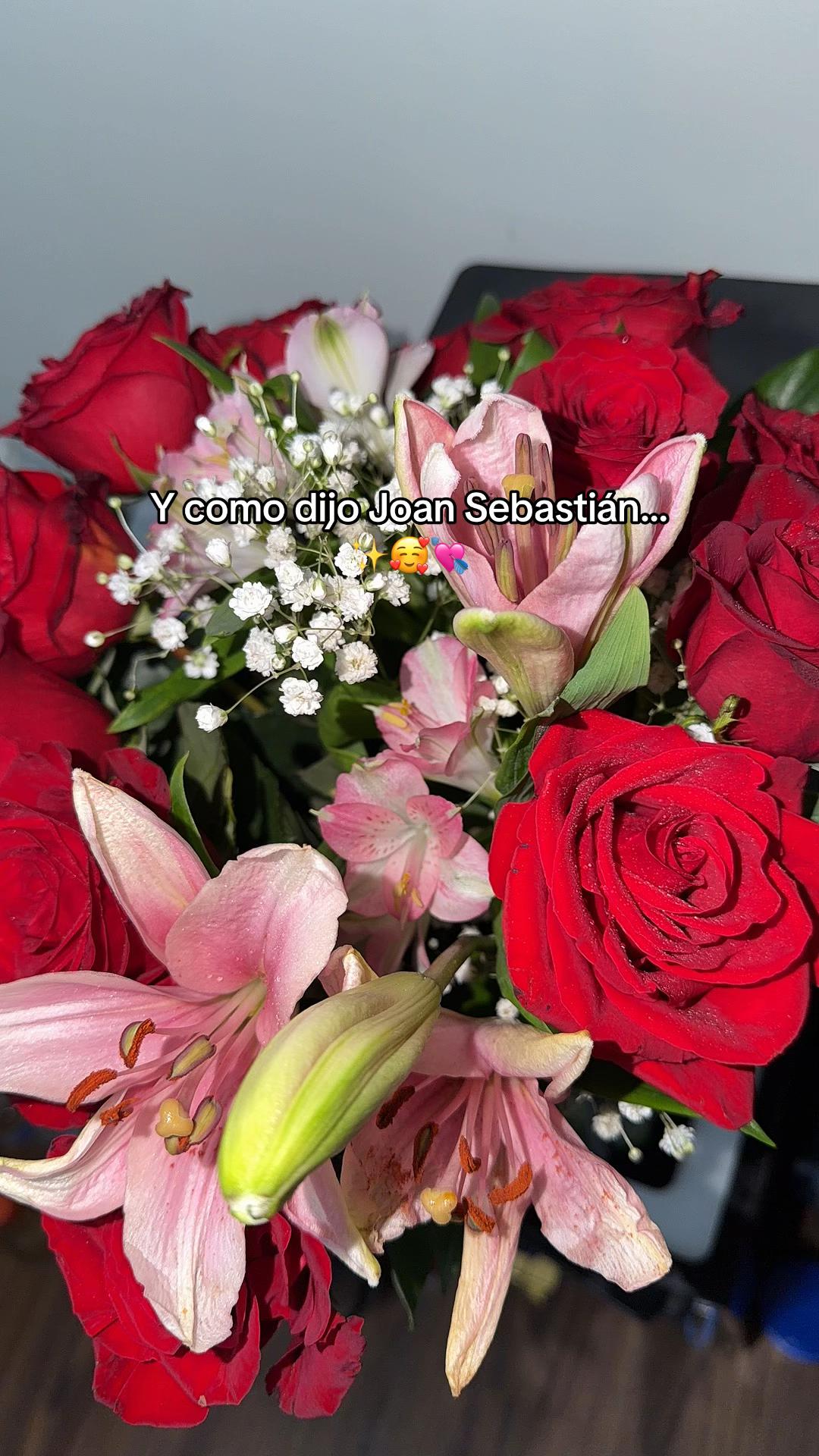 @Shantal Vargas