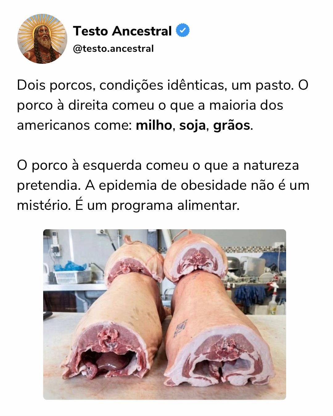 @testo.ancestral