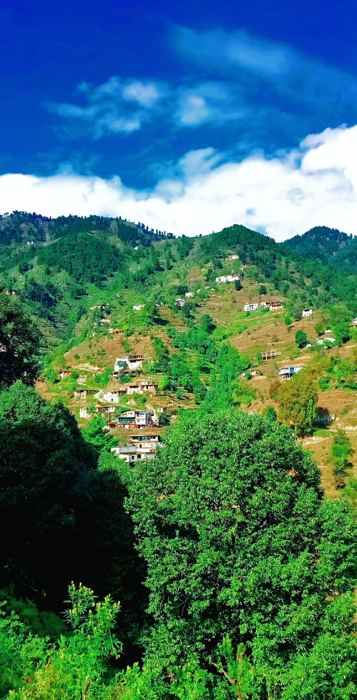@🌲غر سنے 🌲