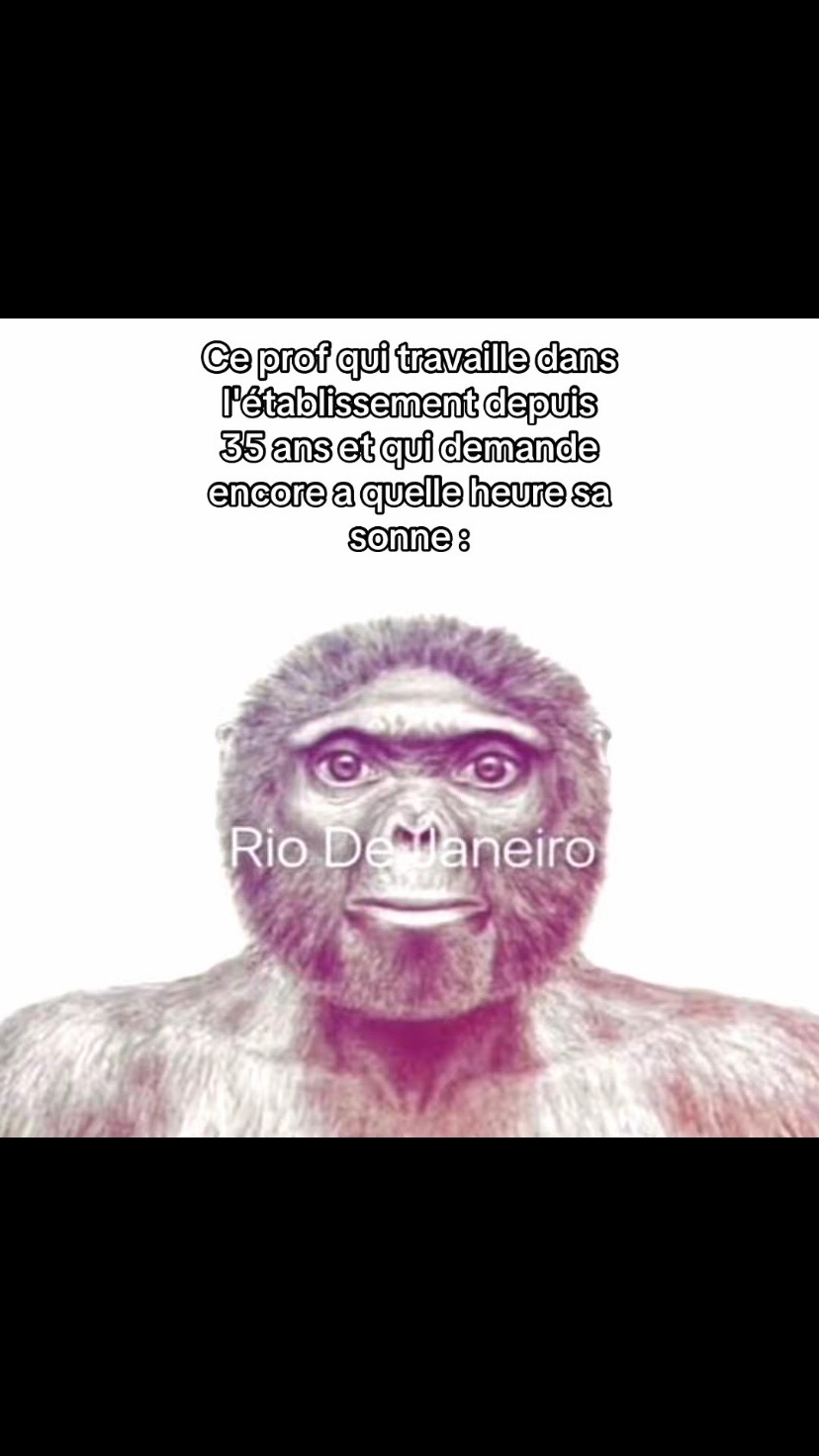 @d4l1_blgcm