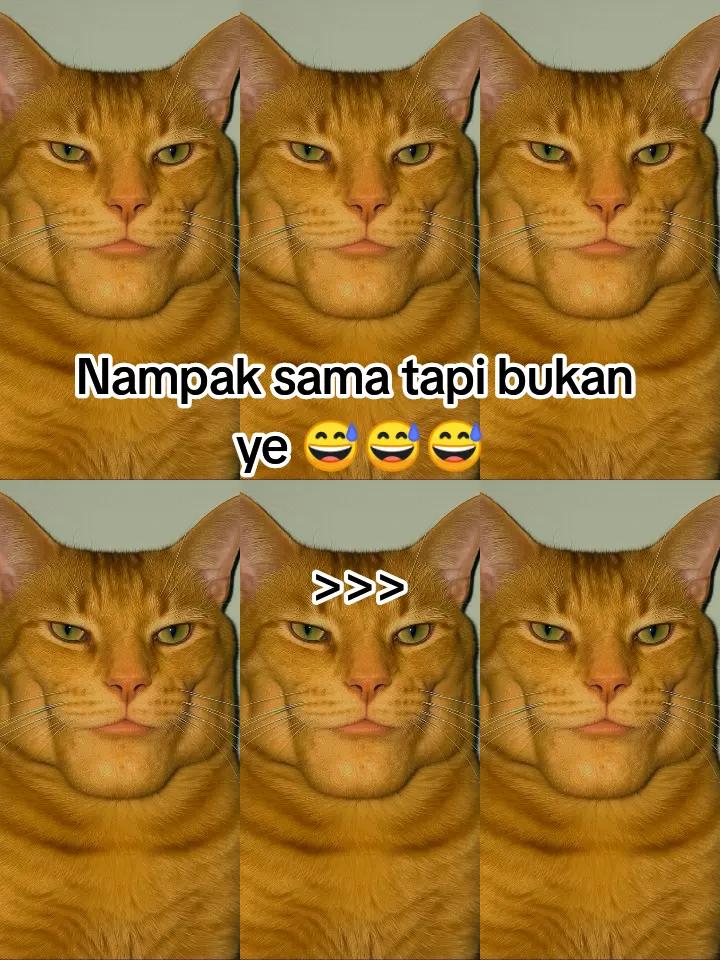 @HykalSazer01