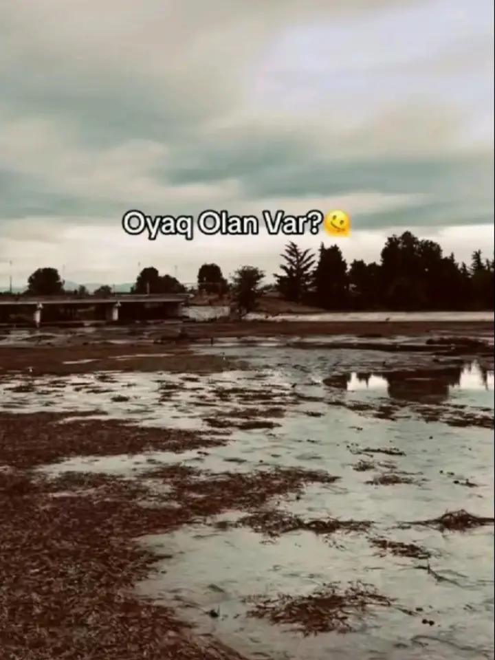 @𝐍 𝐀 𝐁 𝟒 𝐄 𝐕