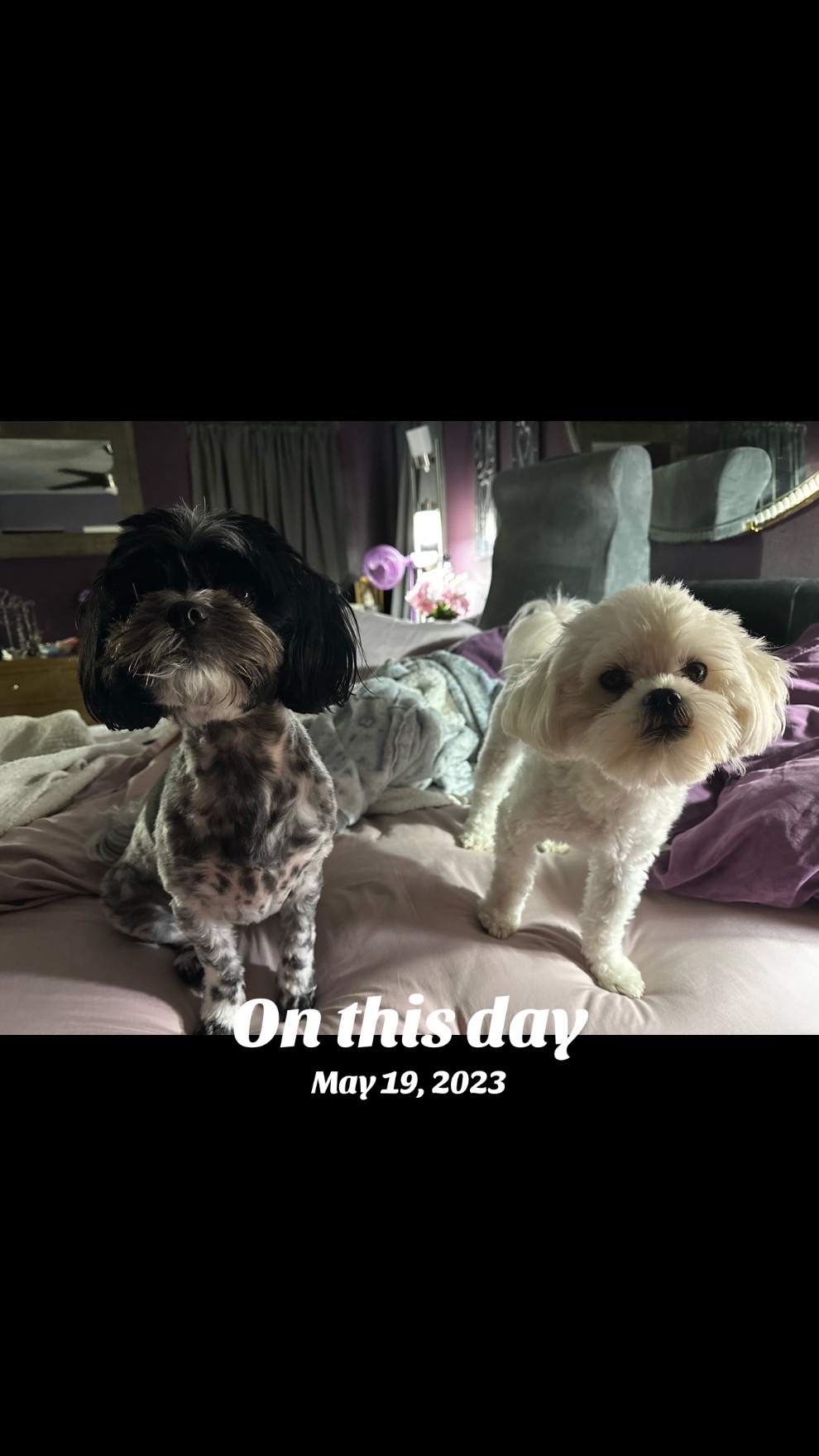 @WeDoWhatWeWant