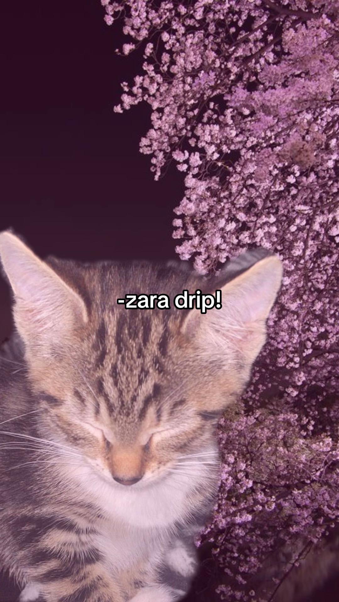 @ρ϶ύ