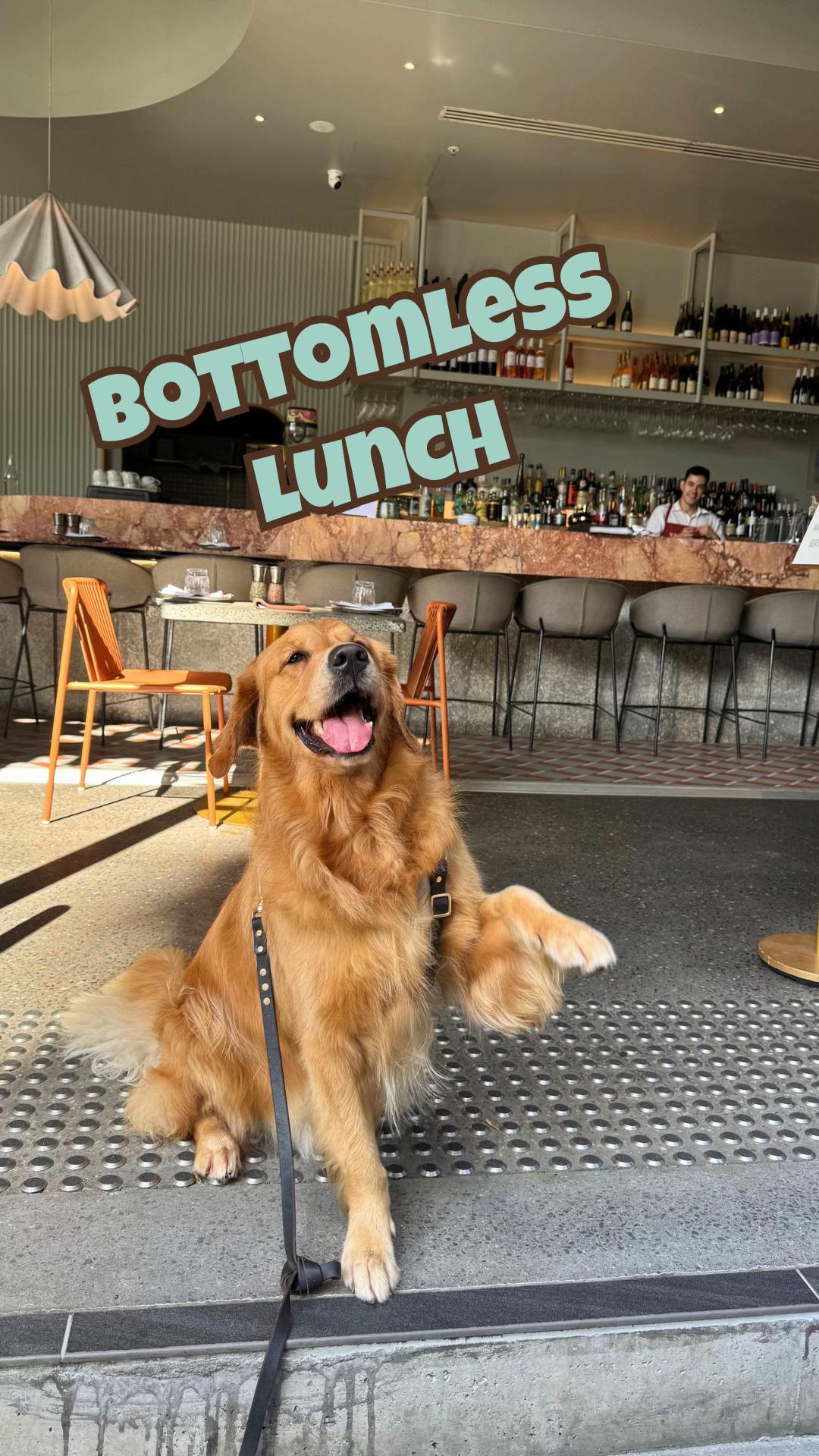 @Brisbane Dog Friendly