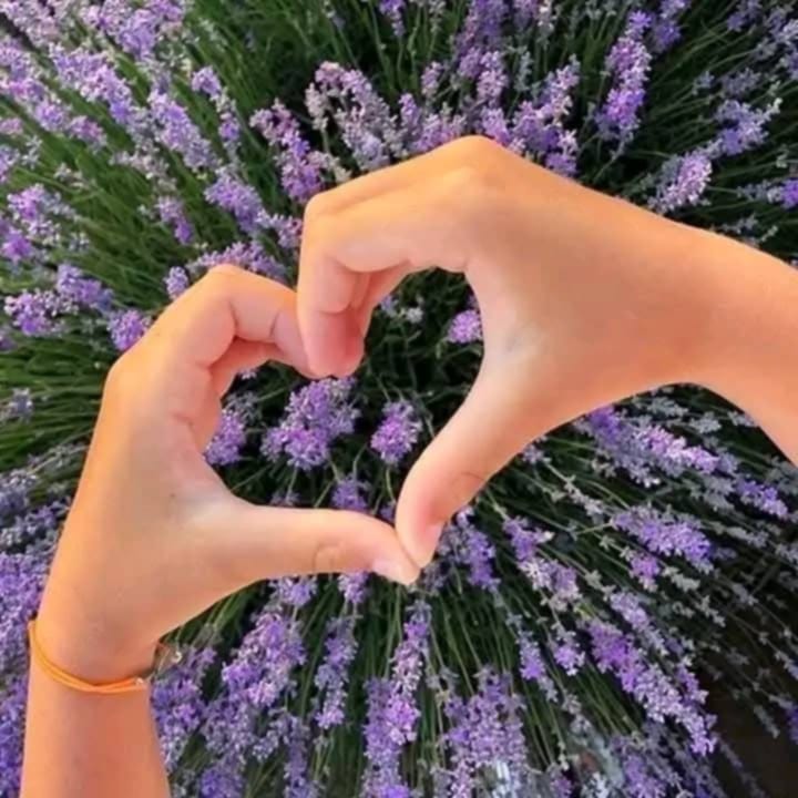 @MONDA❤