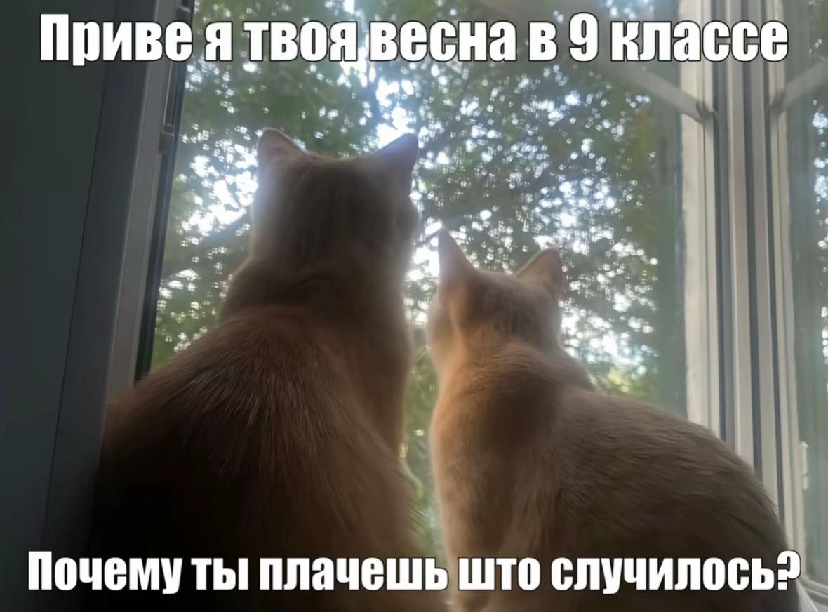 @Не Алина❗️