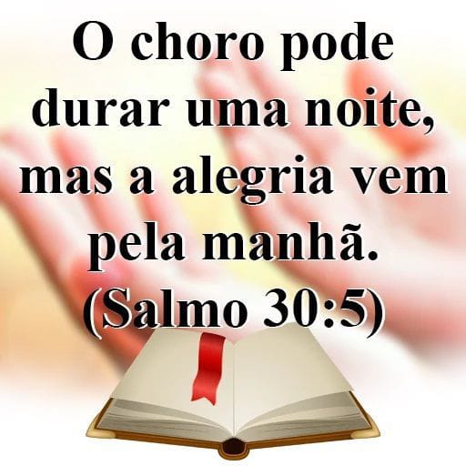 @pedro aristides