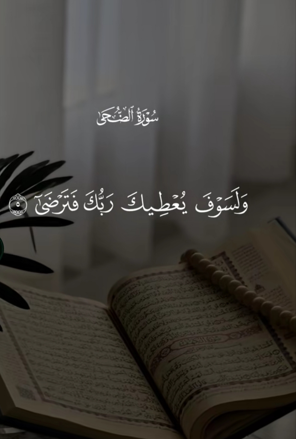 @ابــوعـمــر🏴📚