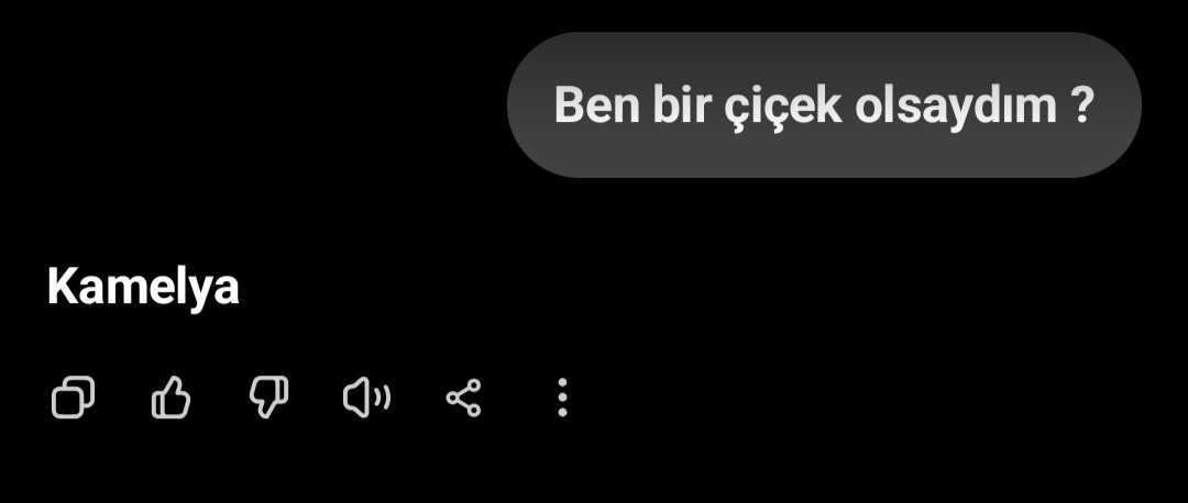 @elif sena 💖