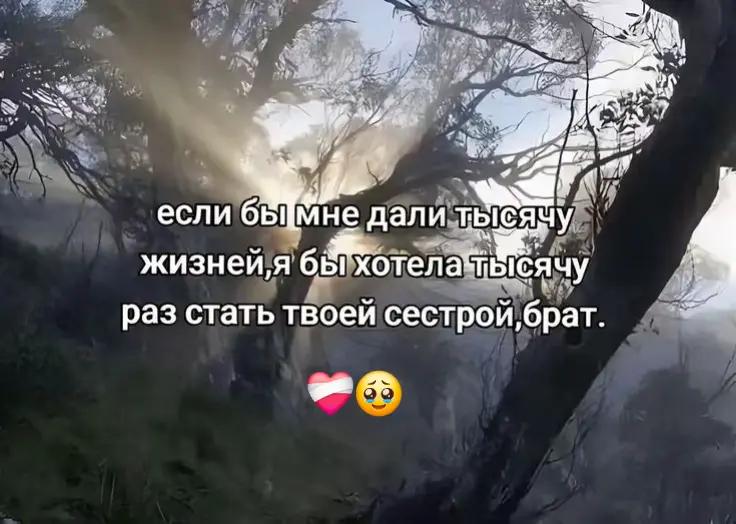 @💕Сестра Солдата🪖