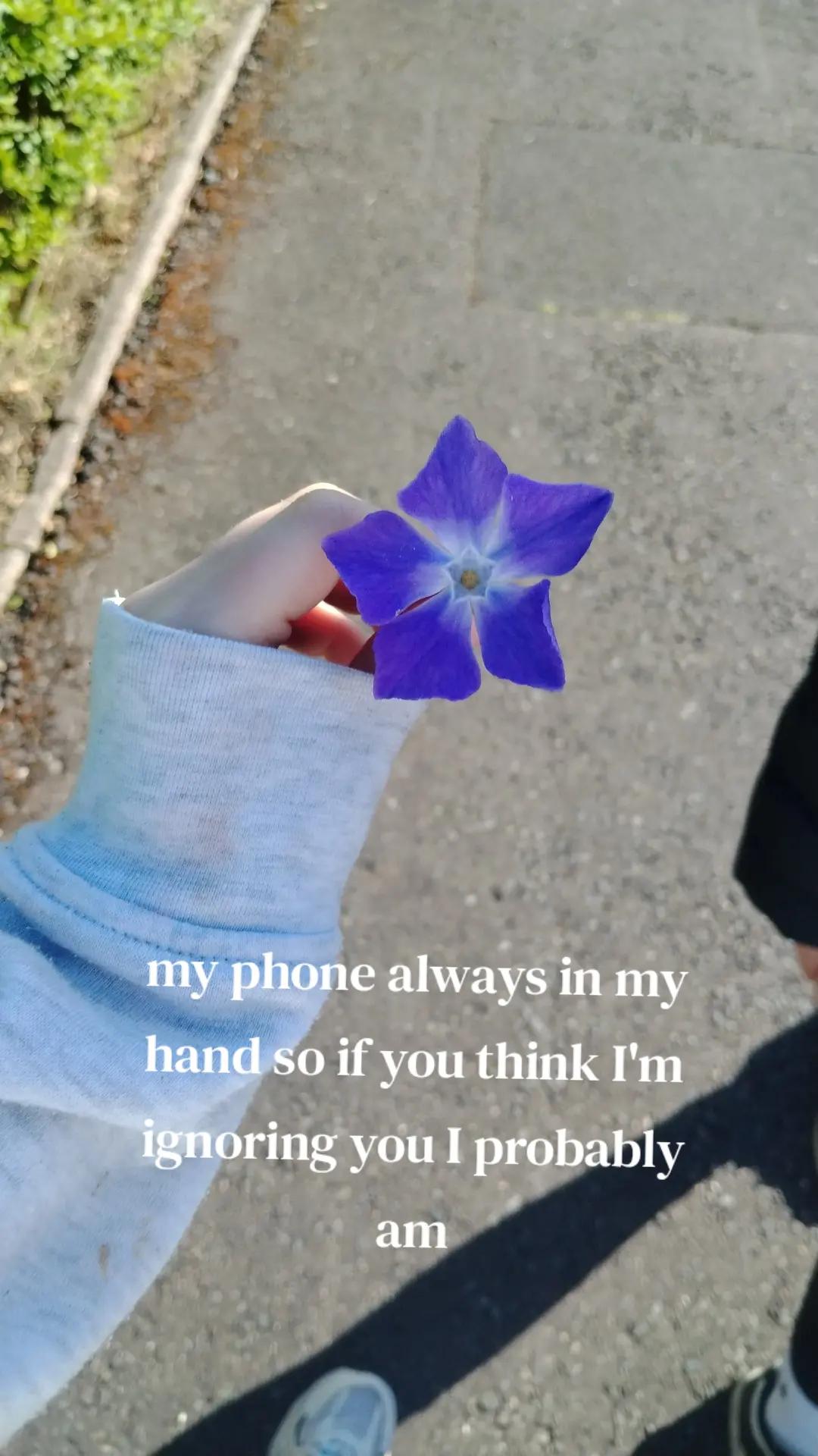 @🤍