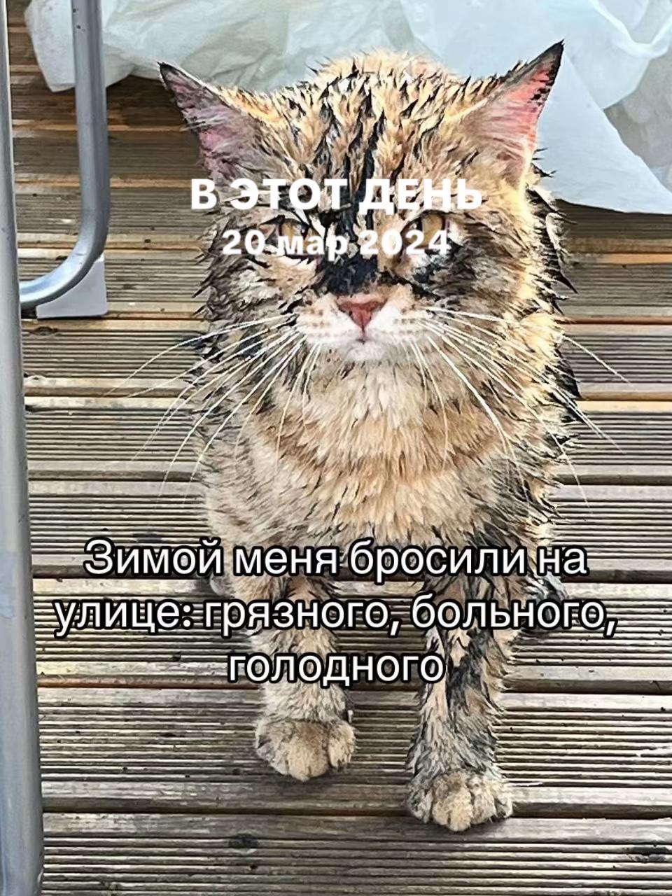 @Ольга
