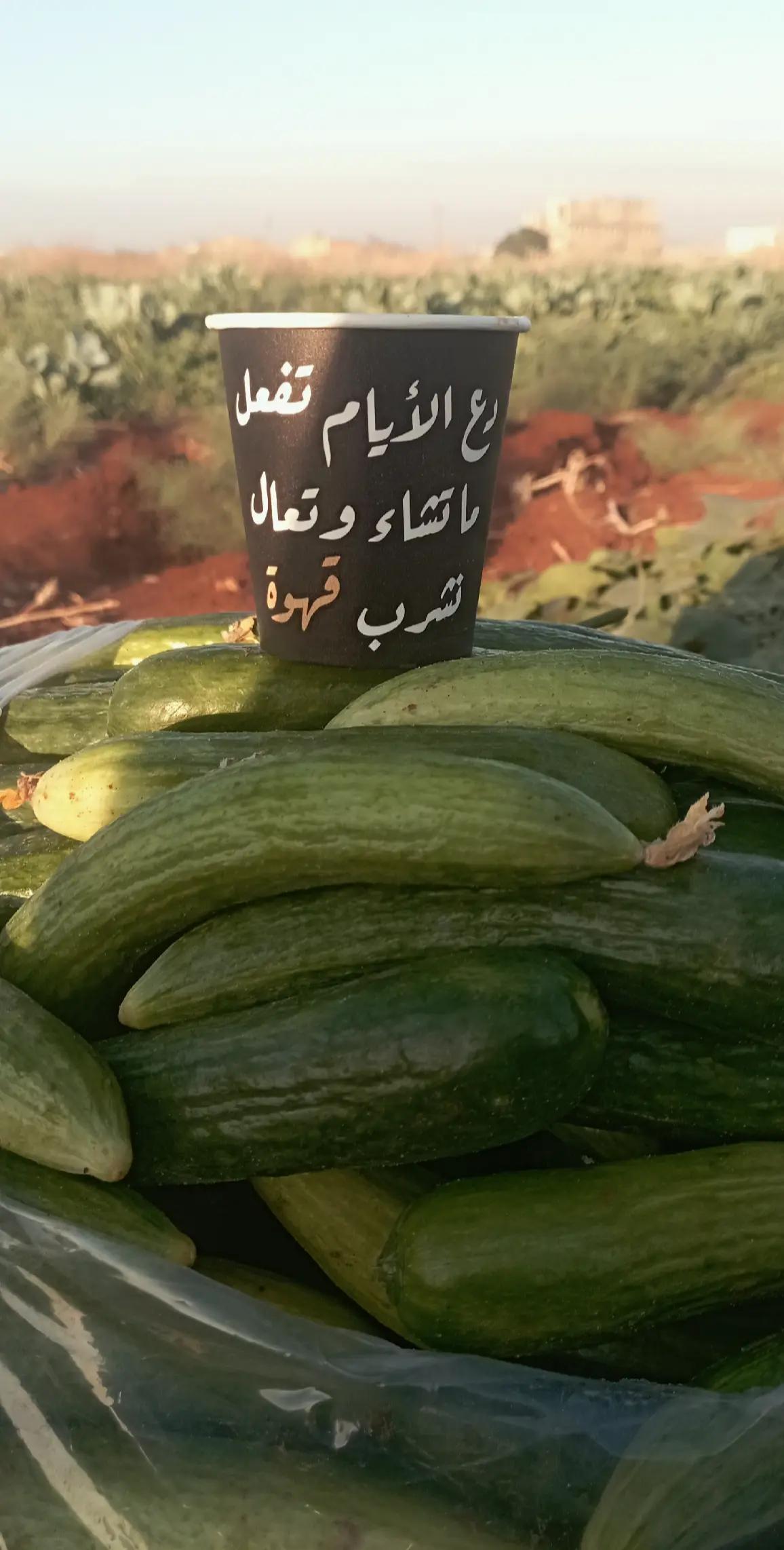 @أڵـــخــواجةأبّـــوأڵـــجود505