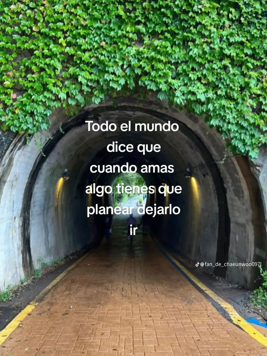 @ARIANA🌷