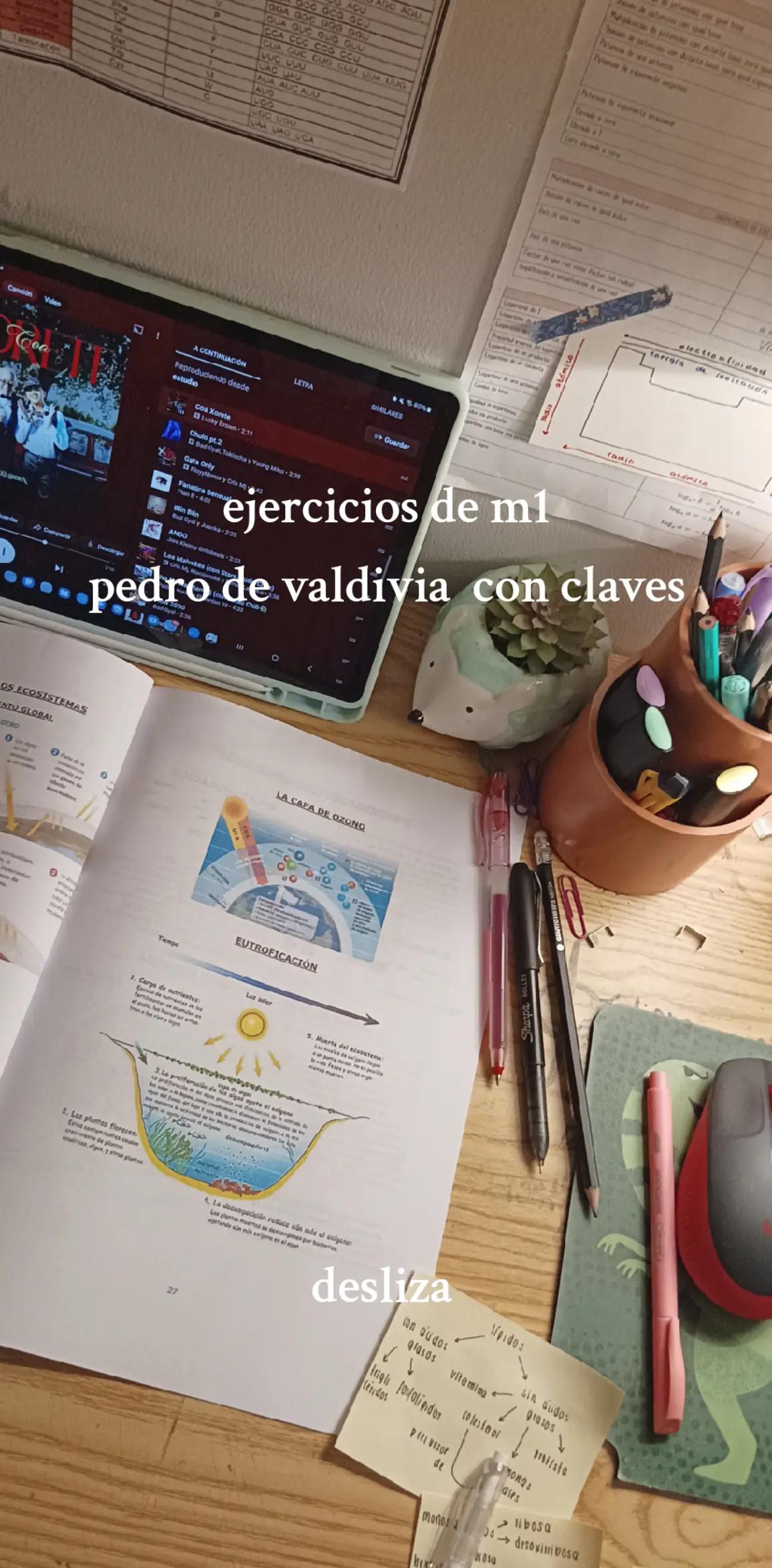 @maite c²