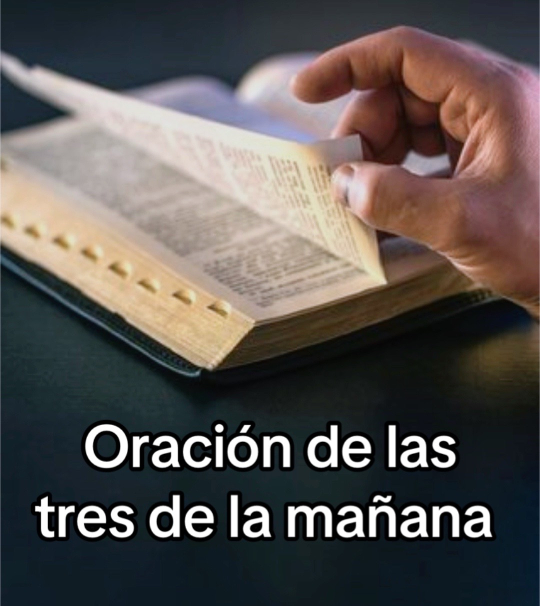 @8luisplaza8