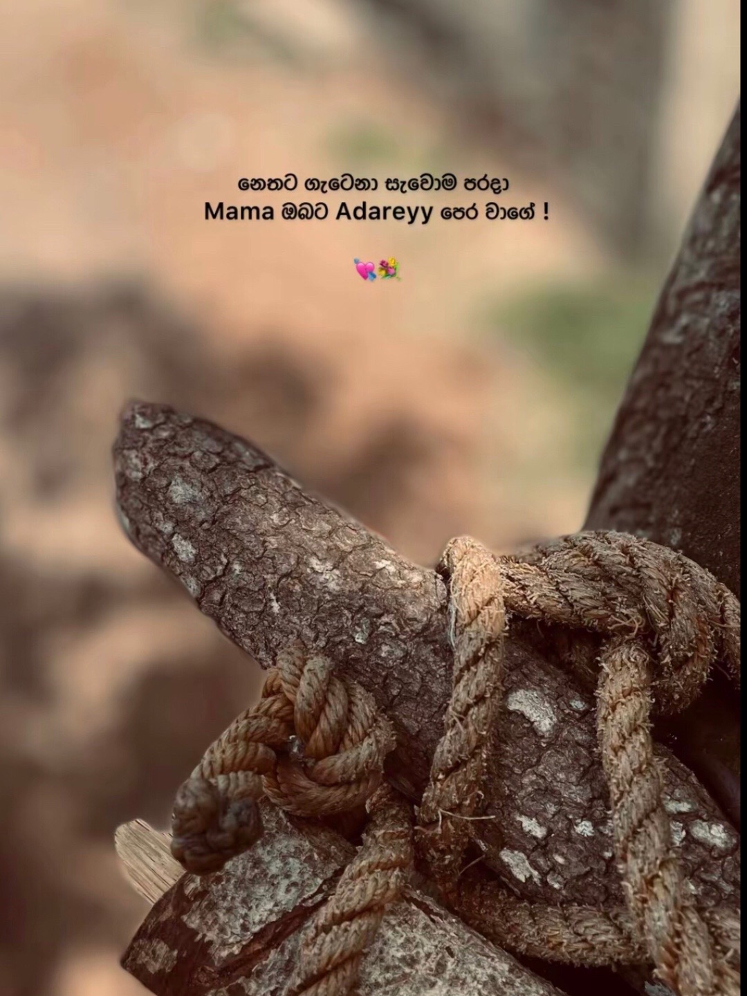 @ශානි | SHANI | ஷானீ_👀💗🌎"
