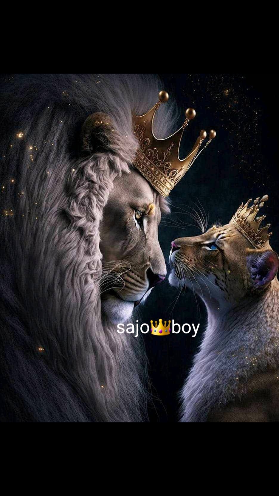 @SAJO👑BOY