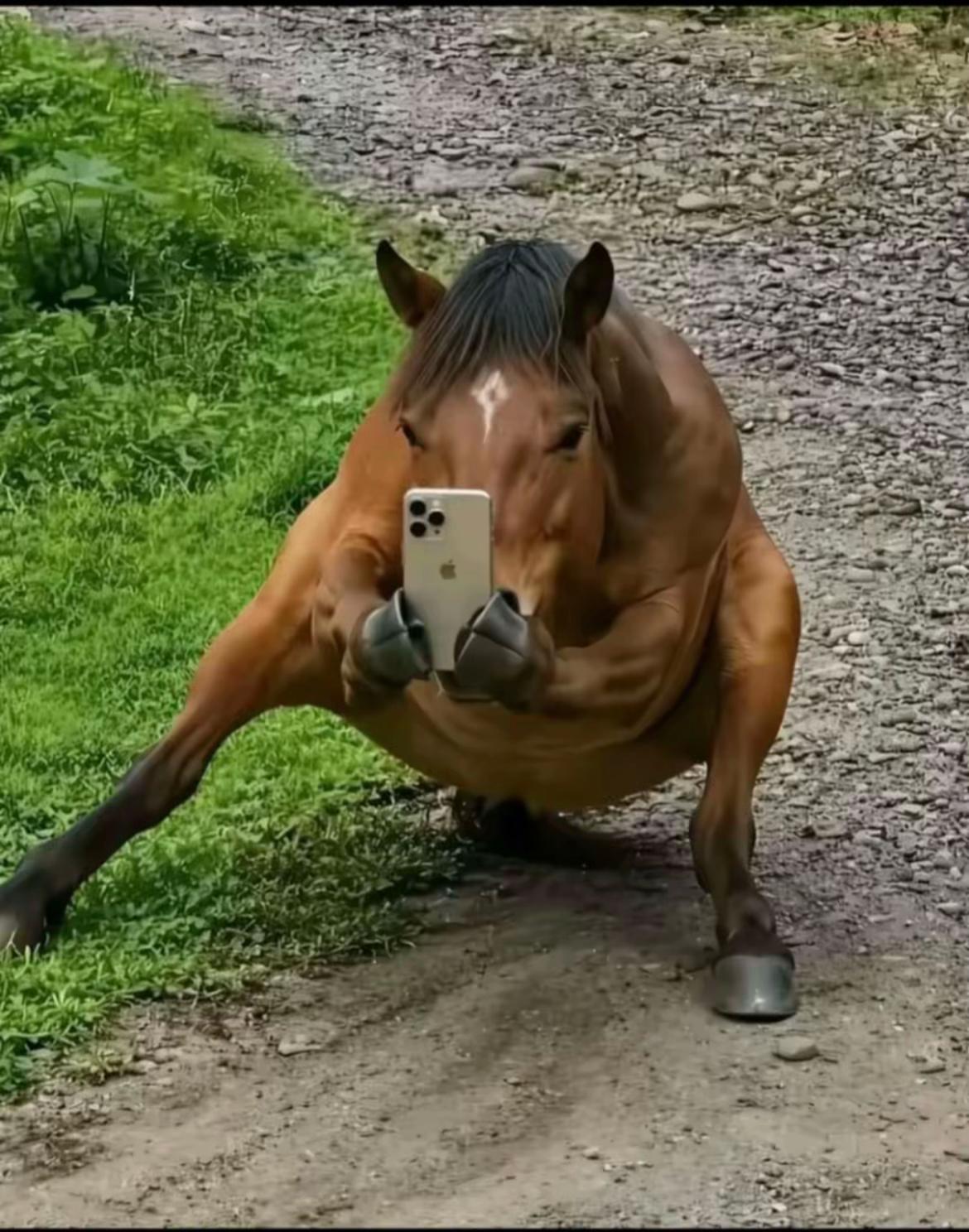 @Виктор