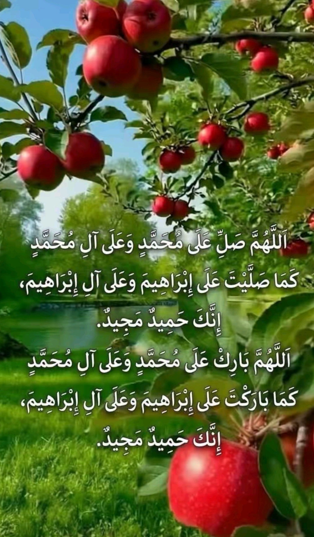@noor g 🇬🇧