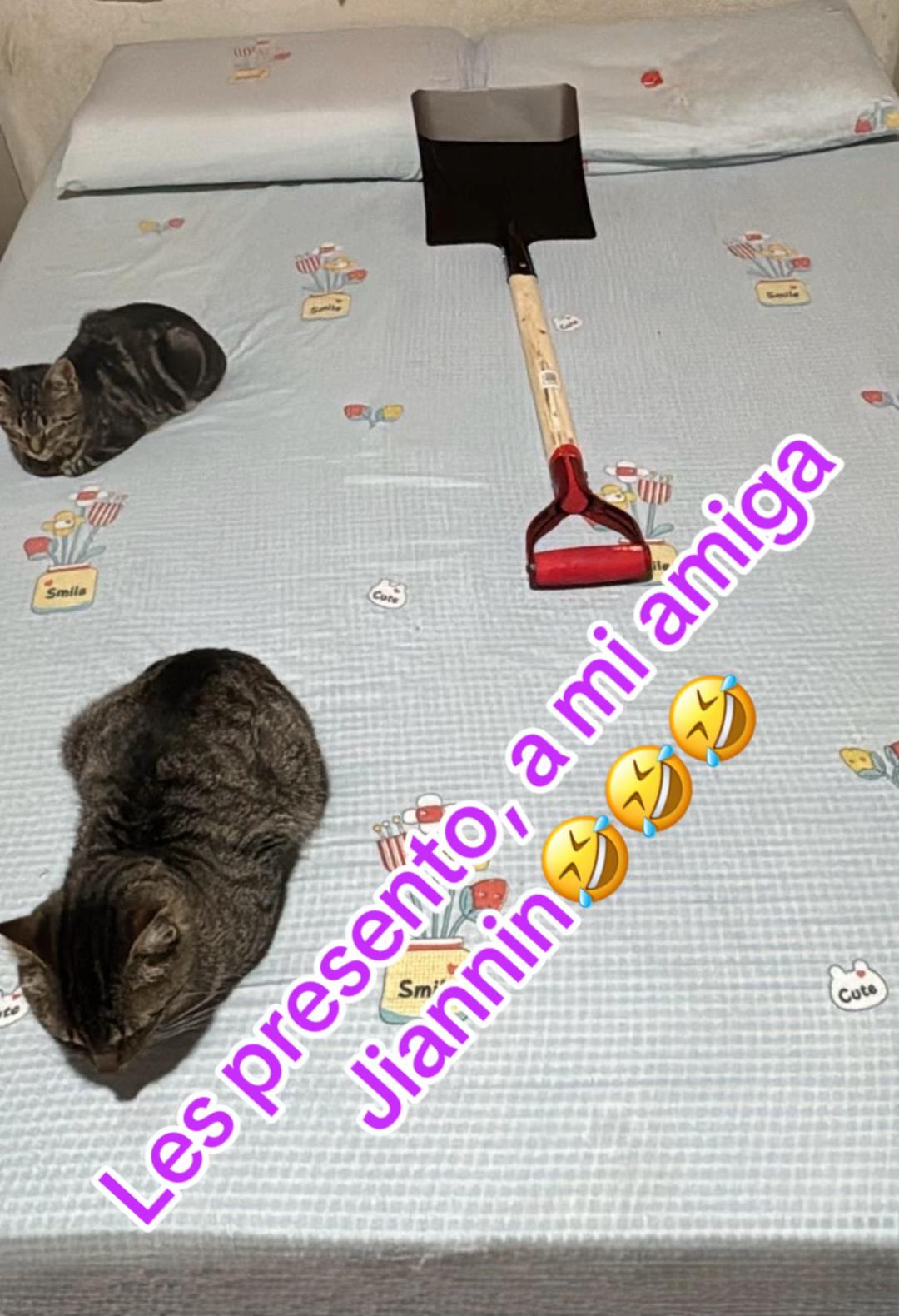 @Ver&oacute;nica Ferrari🇺🇾🏆