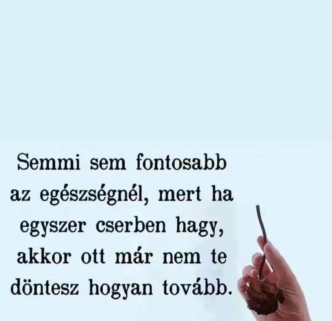 @Krisztinakisfalvi