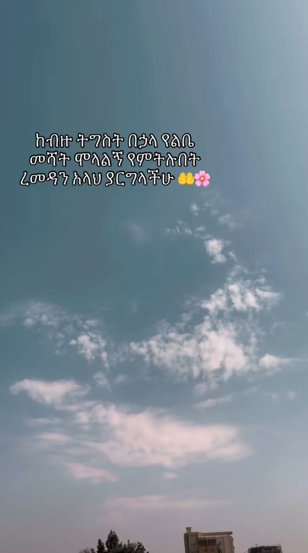 @🌼𝕗𝕠𝕫𝕚👑የደሴዋ🇪🇹💫