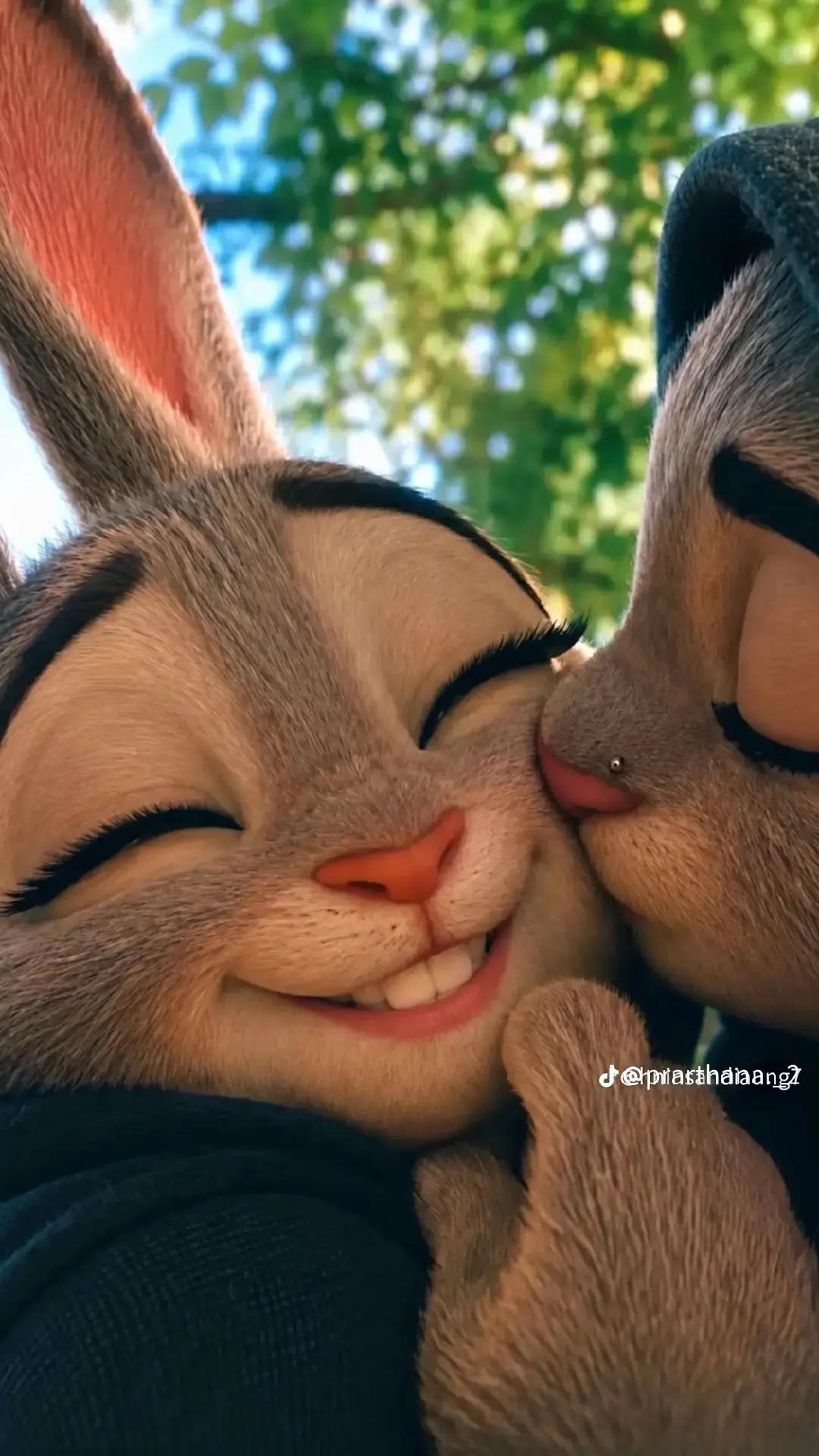 @N 🕊️🥀🍃