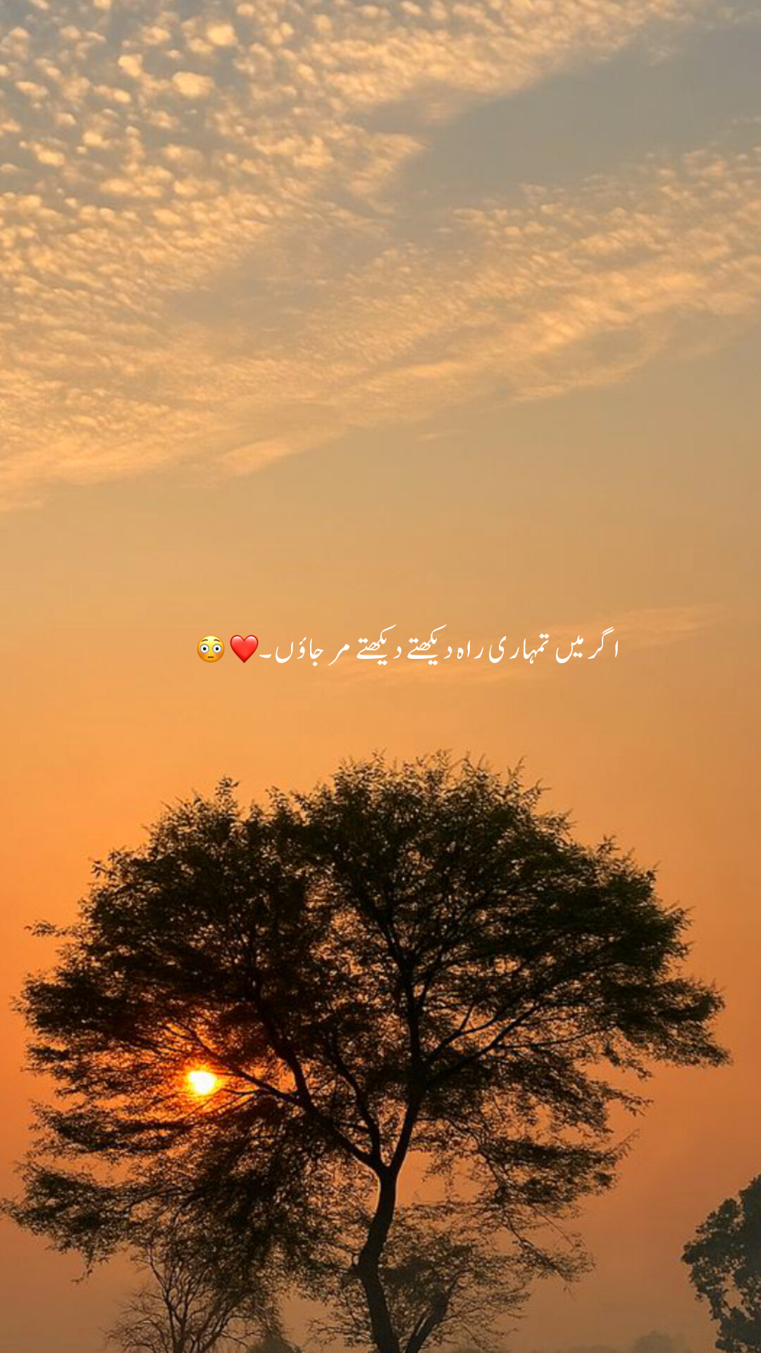 @Cute Potery