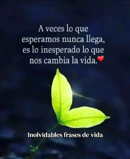 @AURELIO CASILLAS