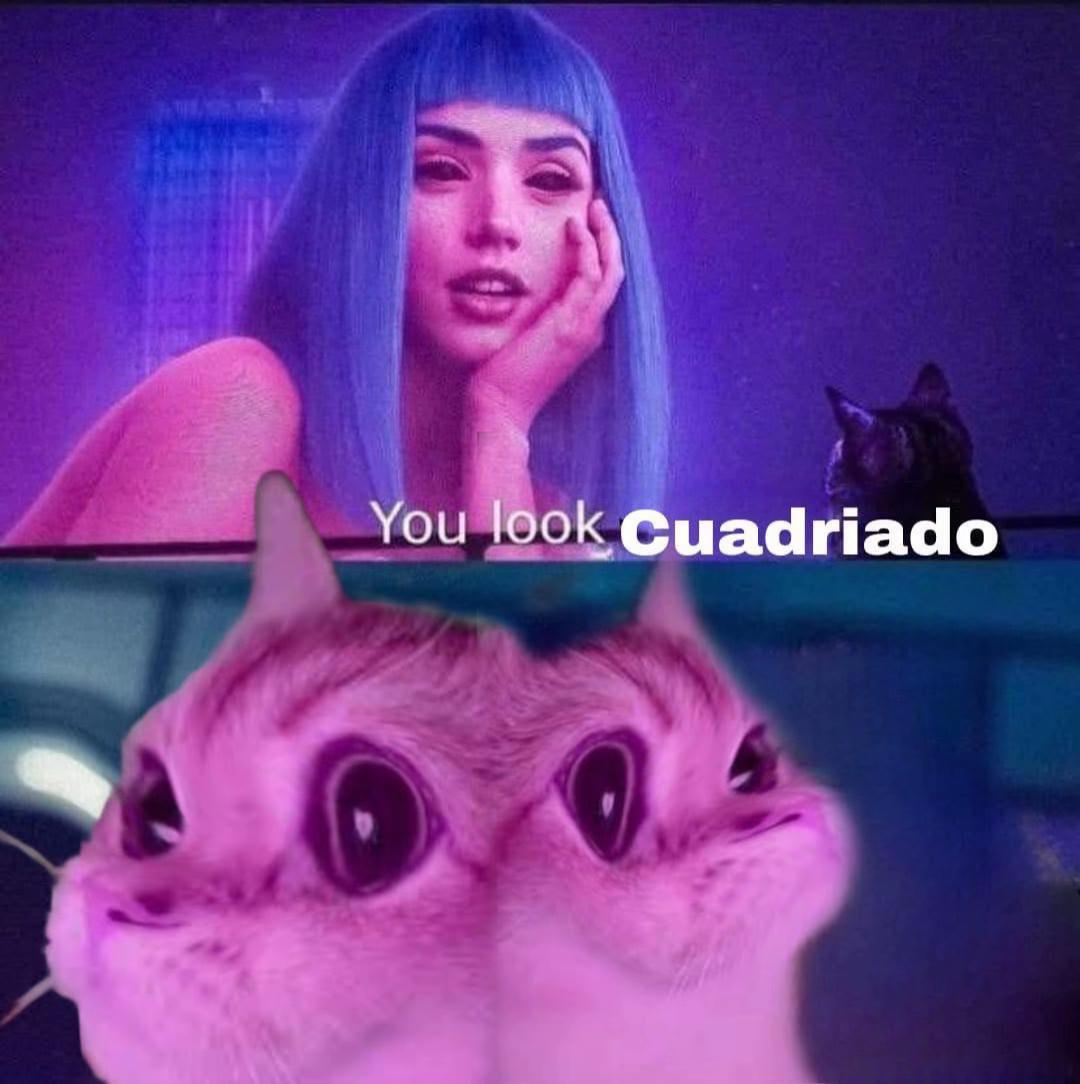 @Trips Colombia