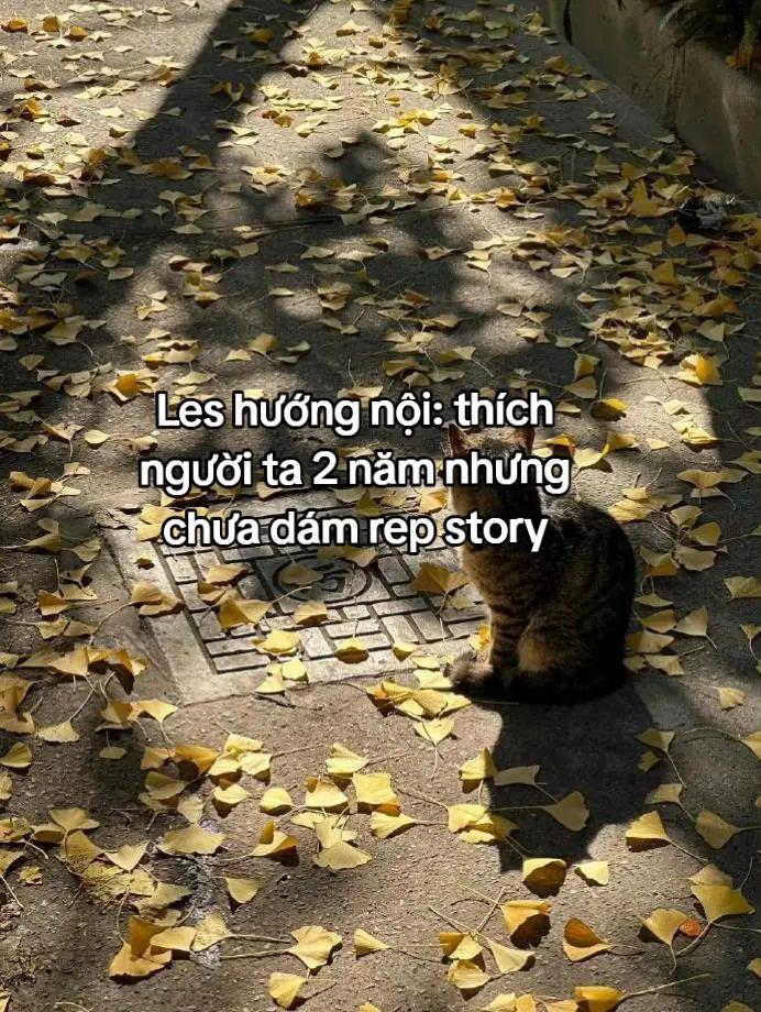 @eternal love